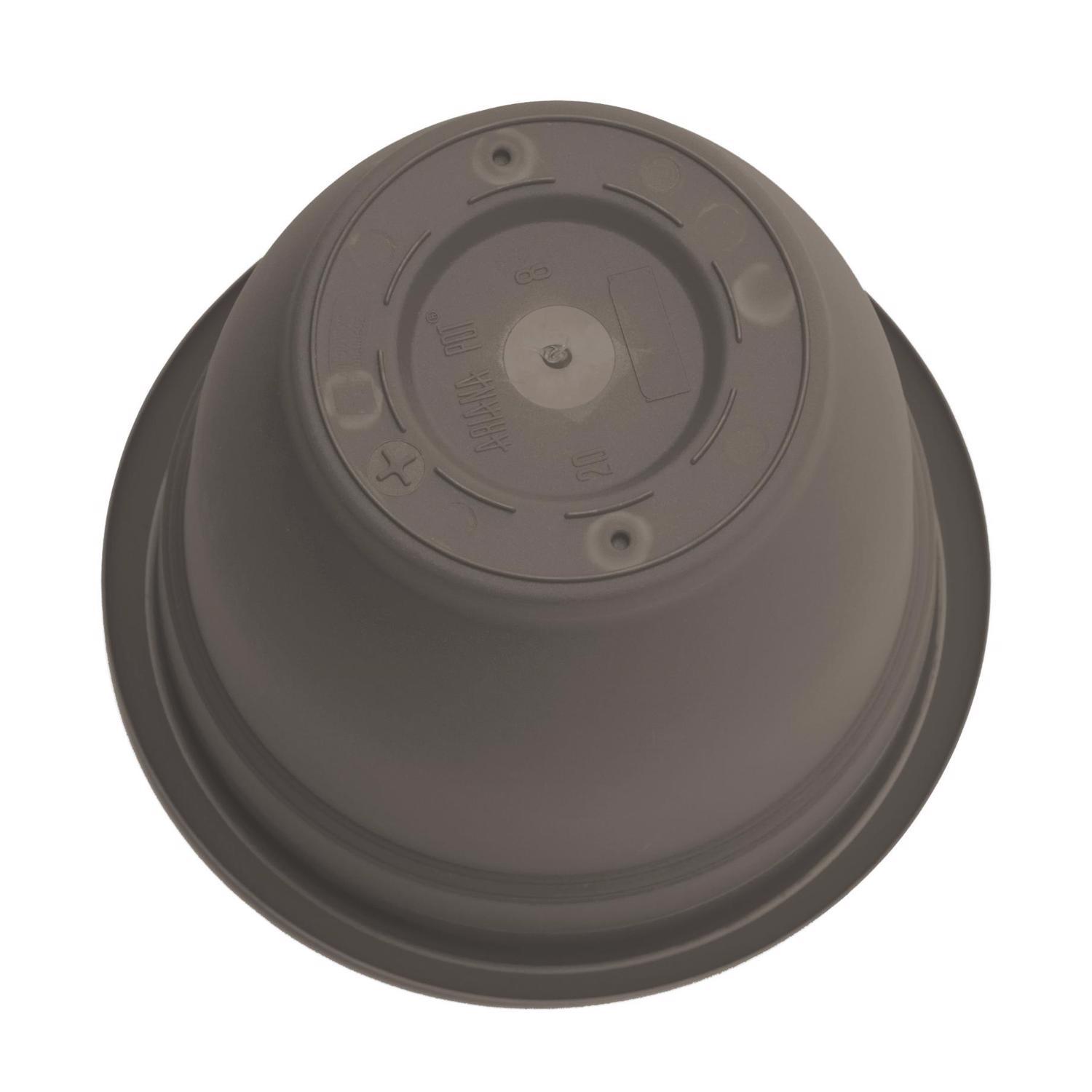 Bloem Ariana 5.25 in. H X 6.5 in. W X 6 in. D Plastic Traditional Planter Peppercorn
