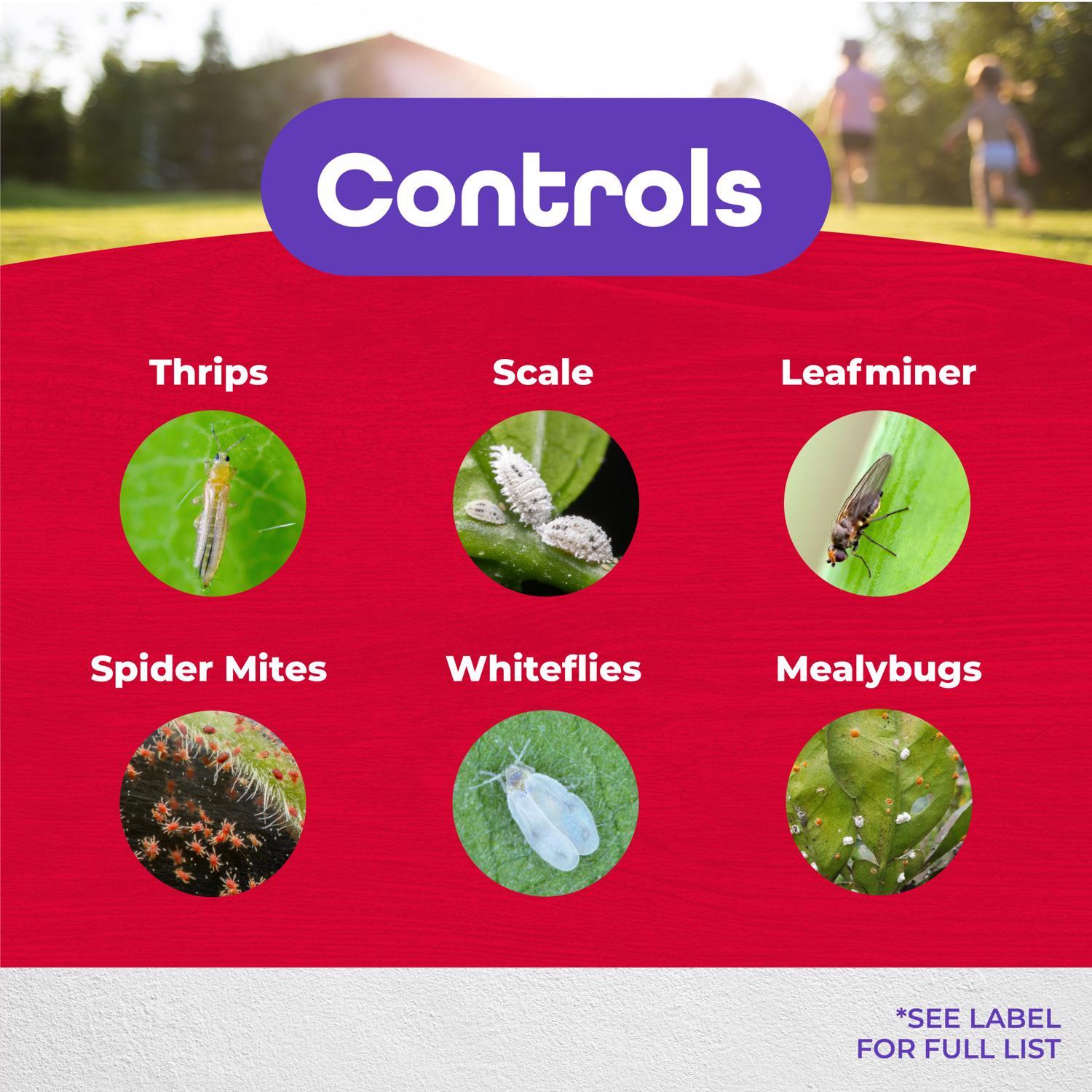 Bonide Systemic Spray Insect Killer Liquid Concentrate 1 pt