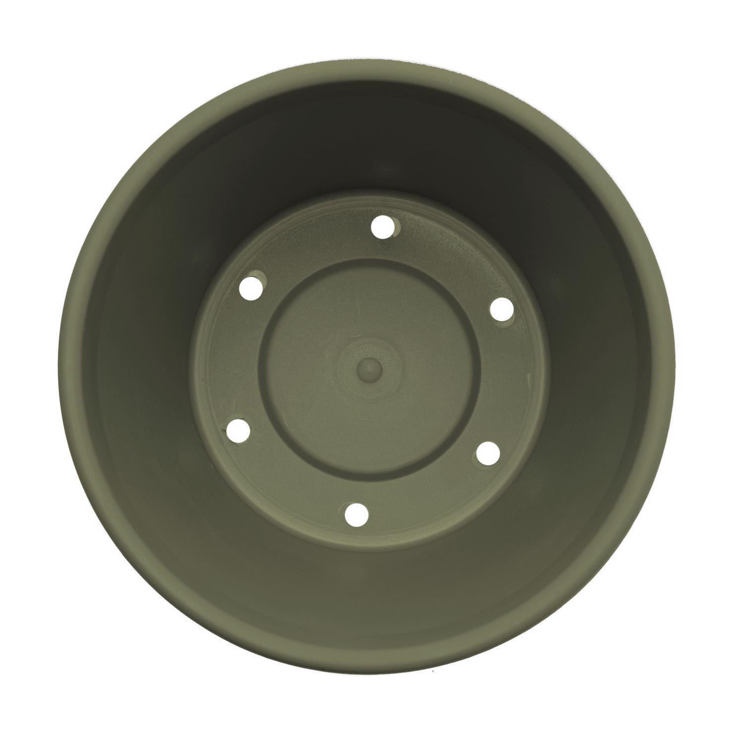 Bloem Terra 12.75 in. H X 15 in. W Resin Traditional Planter Living Green