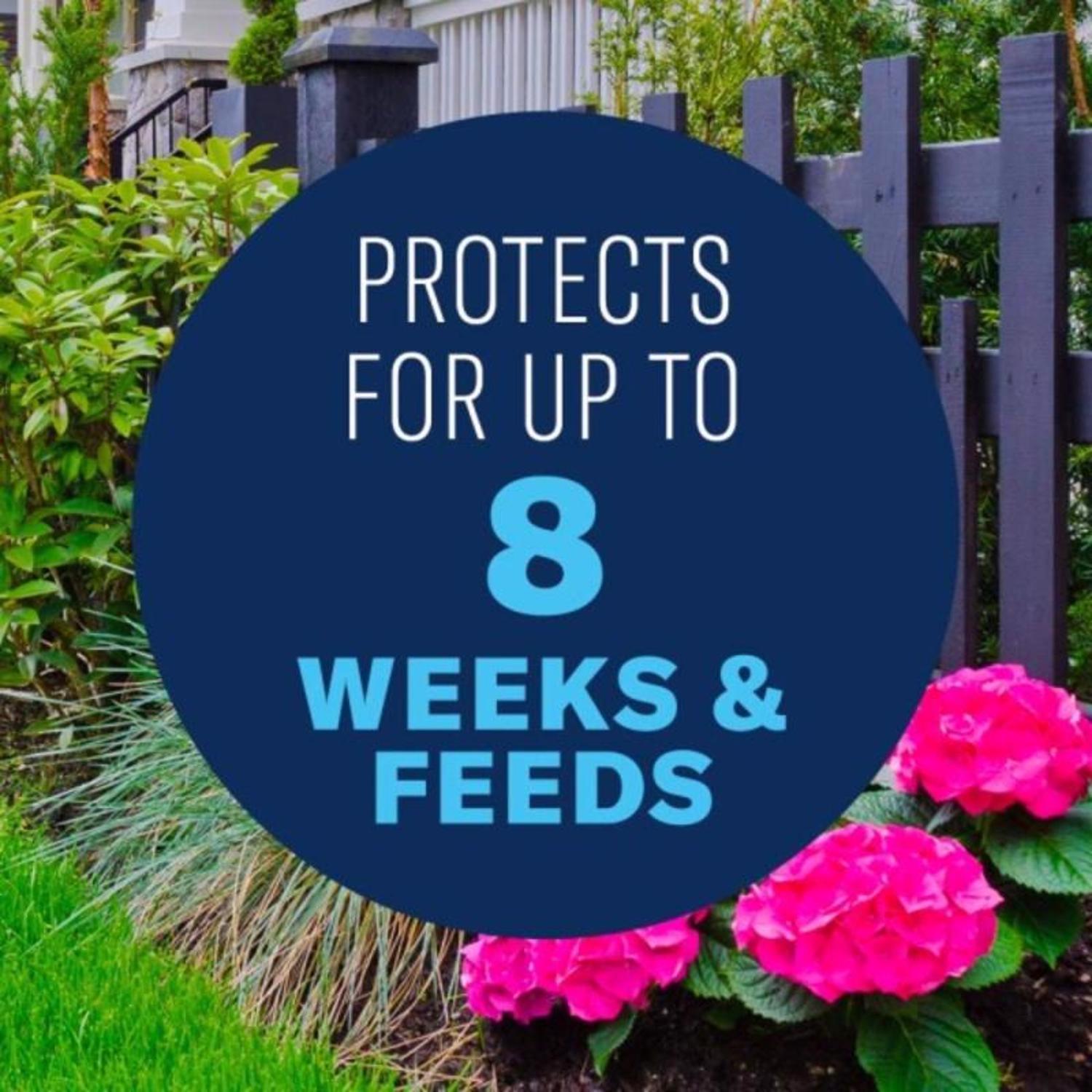 BioAdvanced 2-In-1 Systemic Granules Rose and Flower Plant Food 5 lb