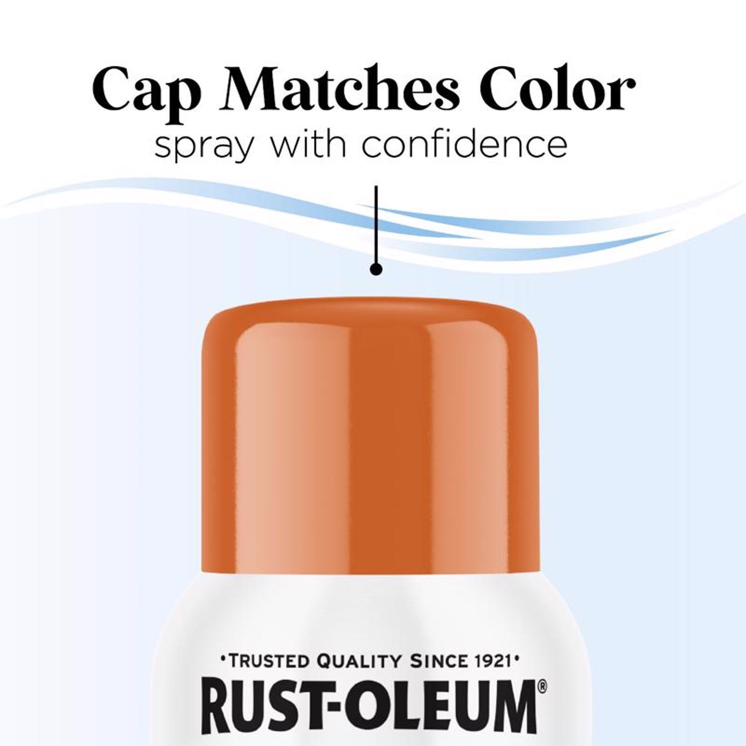 Rust-Oleum Low Odor Gloss Orange Soda Spray Paint 11 oz