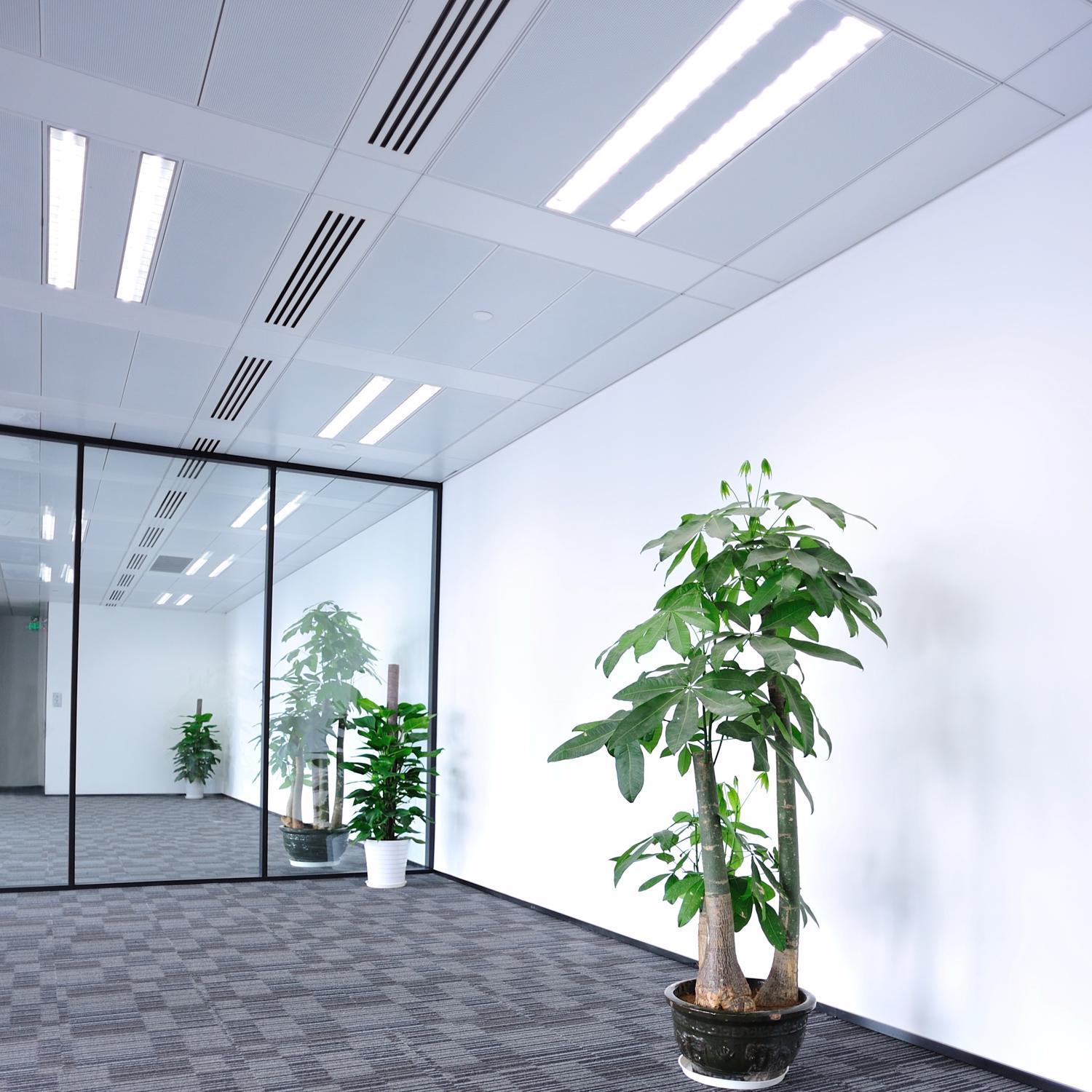 Feit Legacy Bulbs 8 W T5 0.63 in. D X 12 in. L Fluorescent Bulb Cool White Linear 4100 K 1 pk