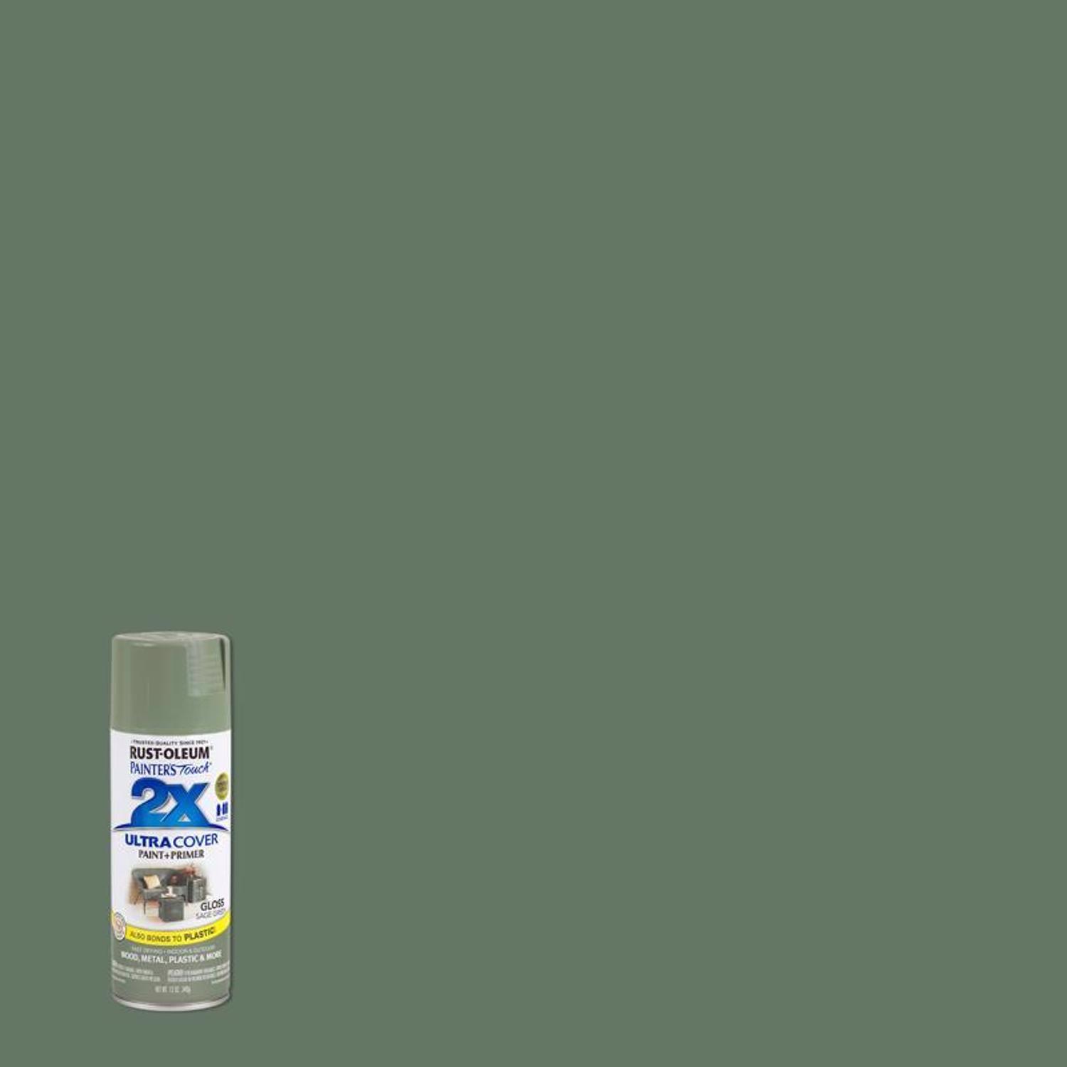 Rust-Oleum Painters Touch 2X Ultra Cover Gloss Sage Green Paint+Primer Spray Paint 12 oz