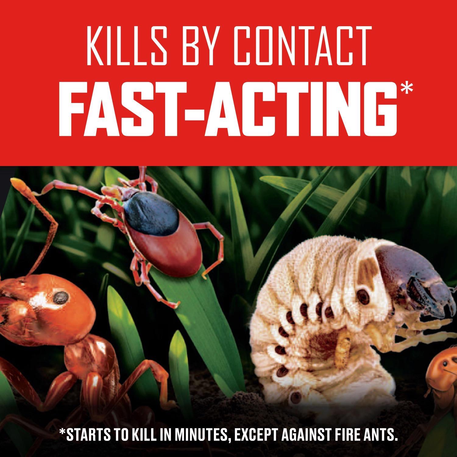 Ortho BugClear Insect Killer Granules 10 lb