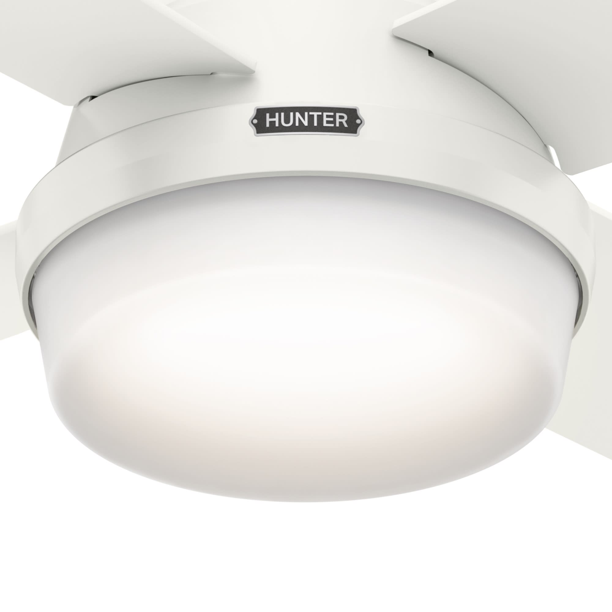 Hunter Dempsey 44 in. Snow White White LED Indoor Ceiling Fan