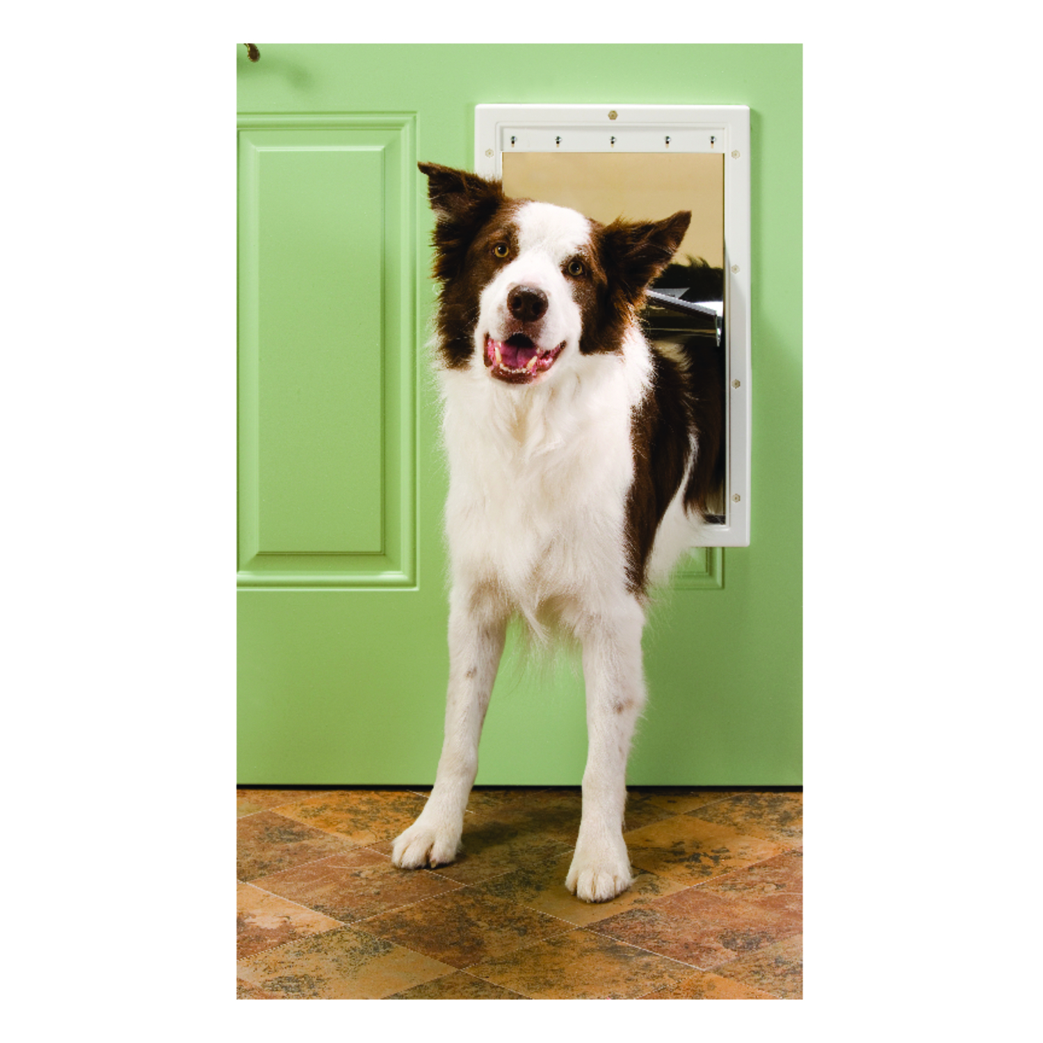 PetSafe 19.75 in. H X 12.5 in. W Plastic Pet Door