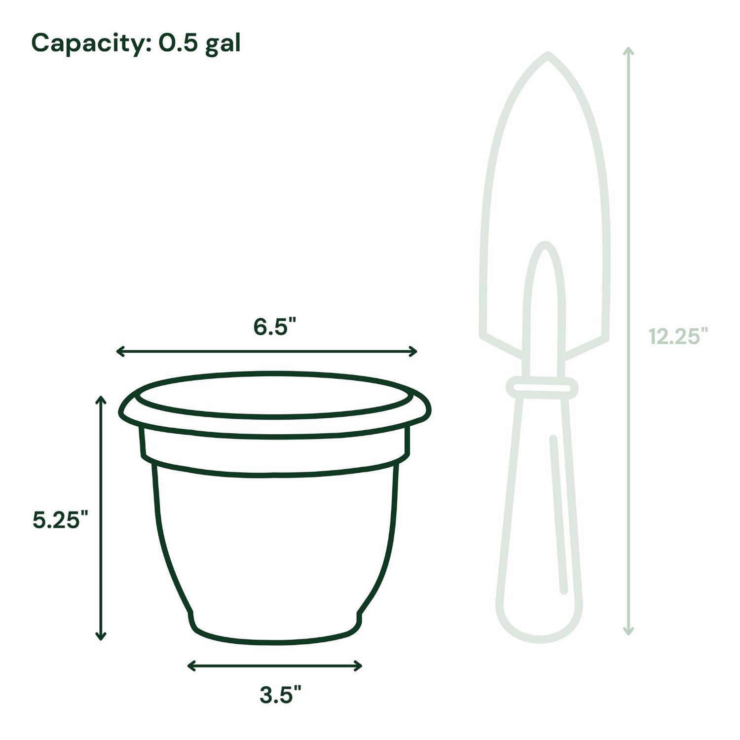 Bloem Ariana 5.25 in. H X 6.5 in. W X 6 in. D Plastic Traditional Planter Peppercorn