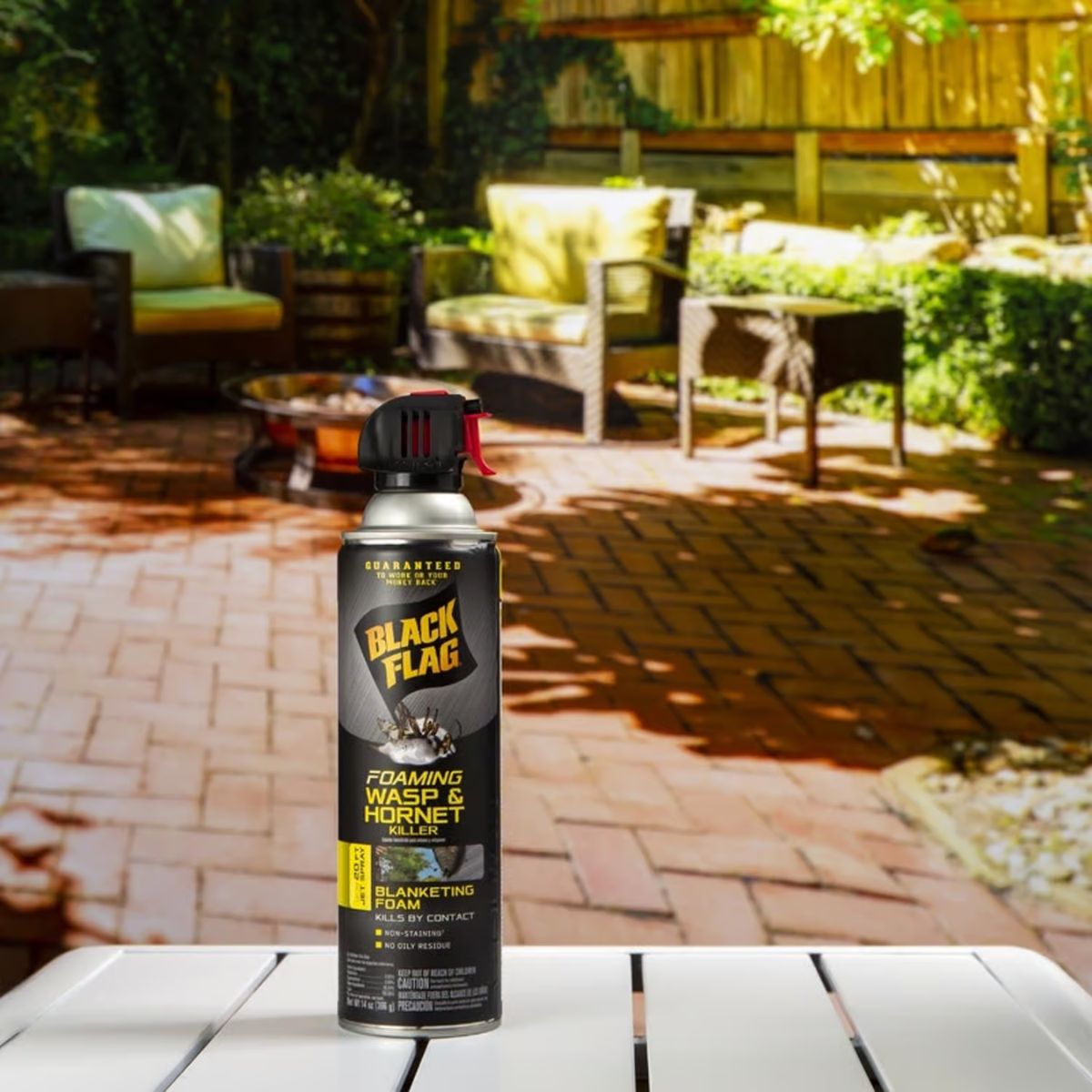 Black Flag Wasp and Hornet Killer Foam 14 oz.
