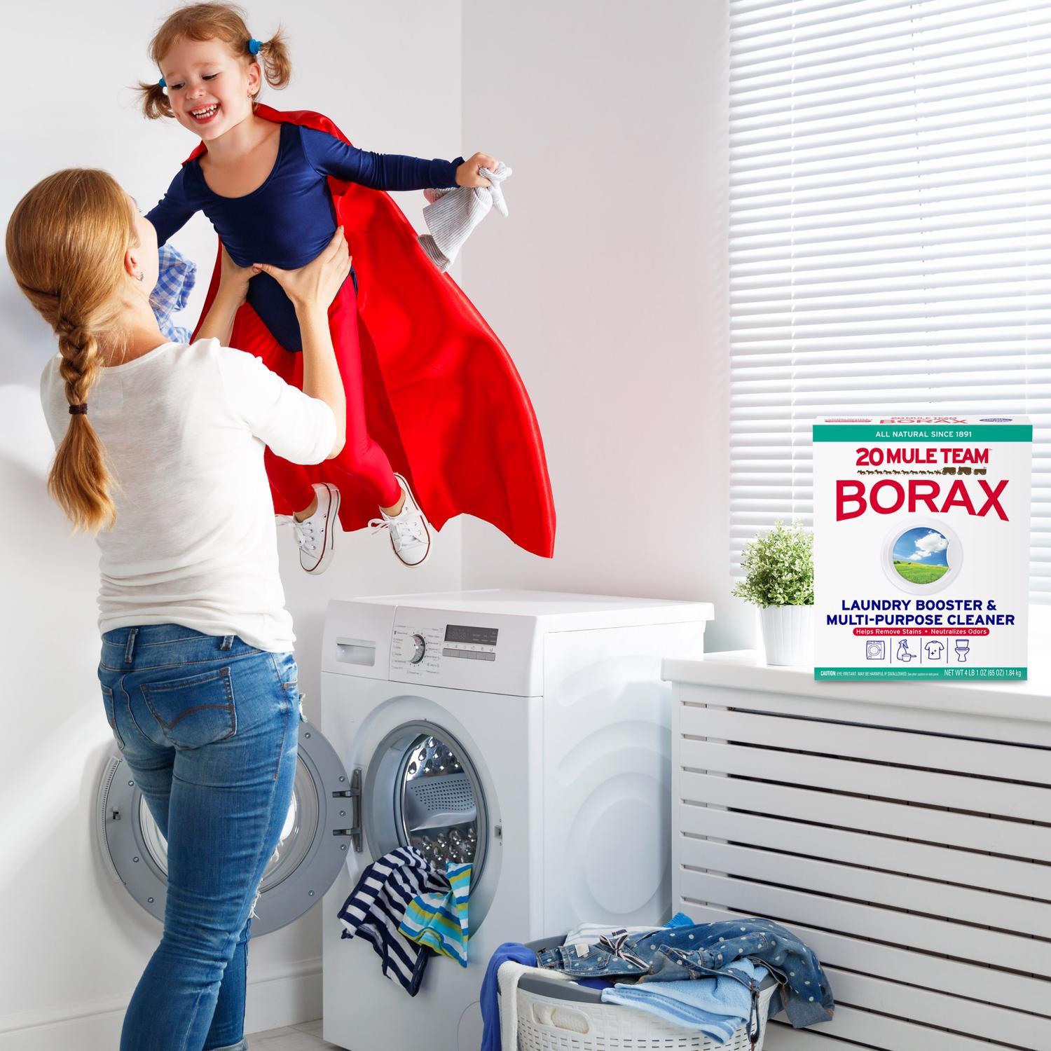 20 Mule Team Borax N/A No Scent Detergent Booster and Household Cleaner Powder 4 lb 1 pk