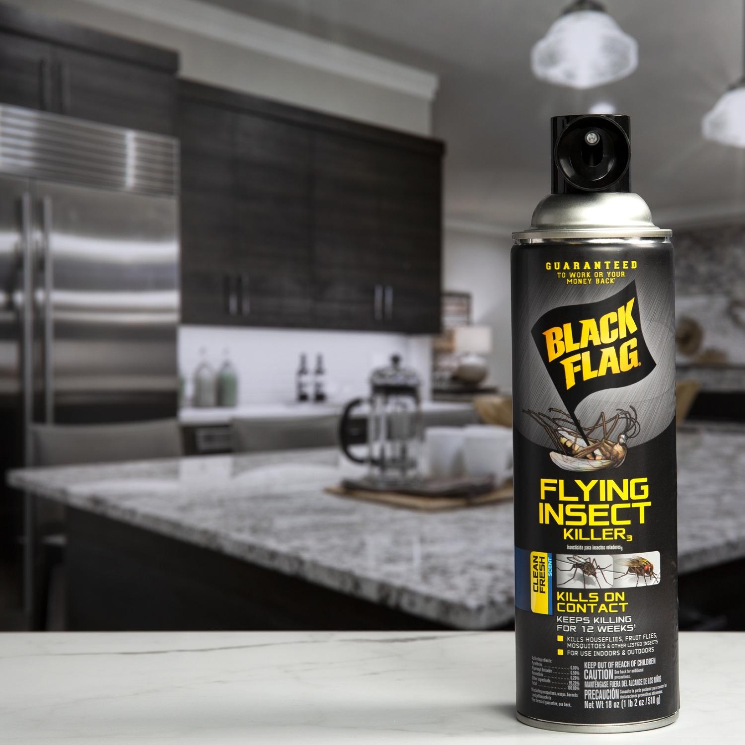 Black Flag Insect Killer Aerosol 18 oz