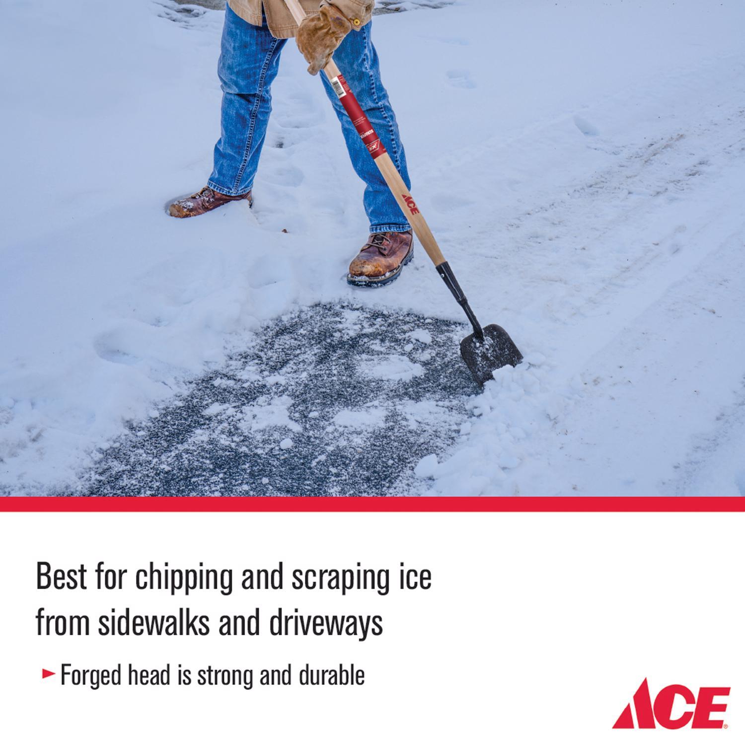 Ace 7 in. W X 58.25 in. L Steel Sidewalk Scraper