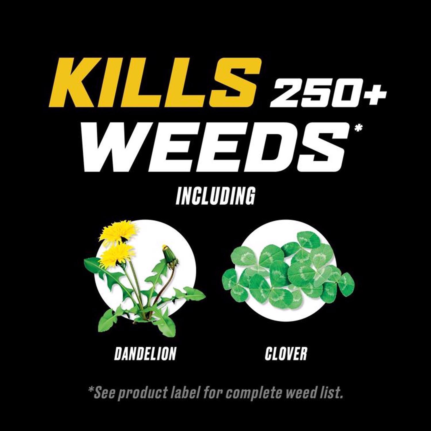 Ortho WeedClear Weed Killer Concentrate 32 oz
