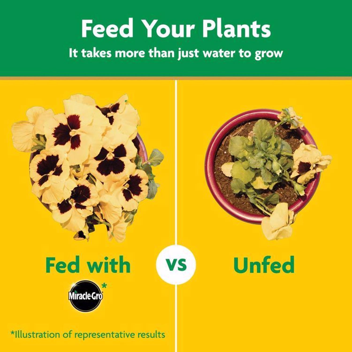 Miracle-Gro Granules Plant Food 10 lb