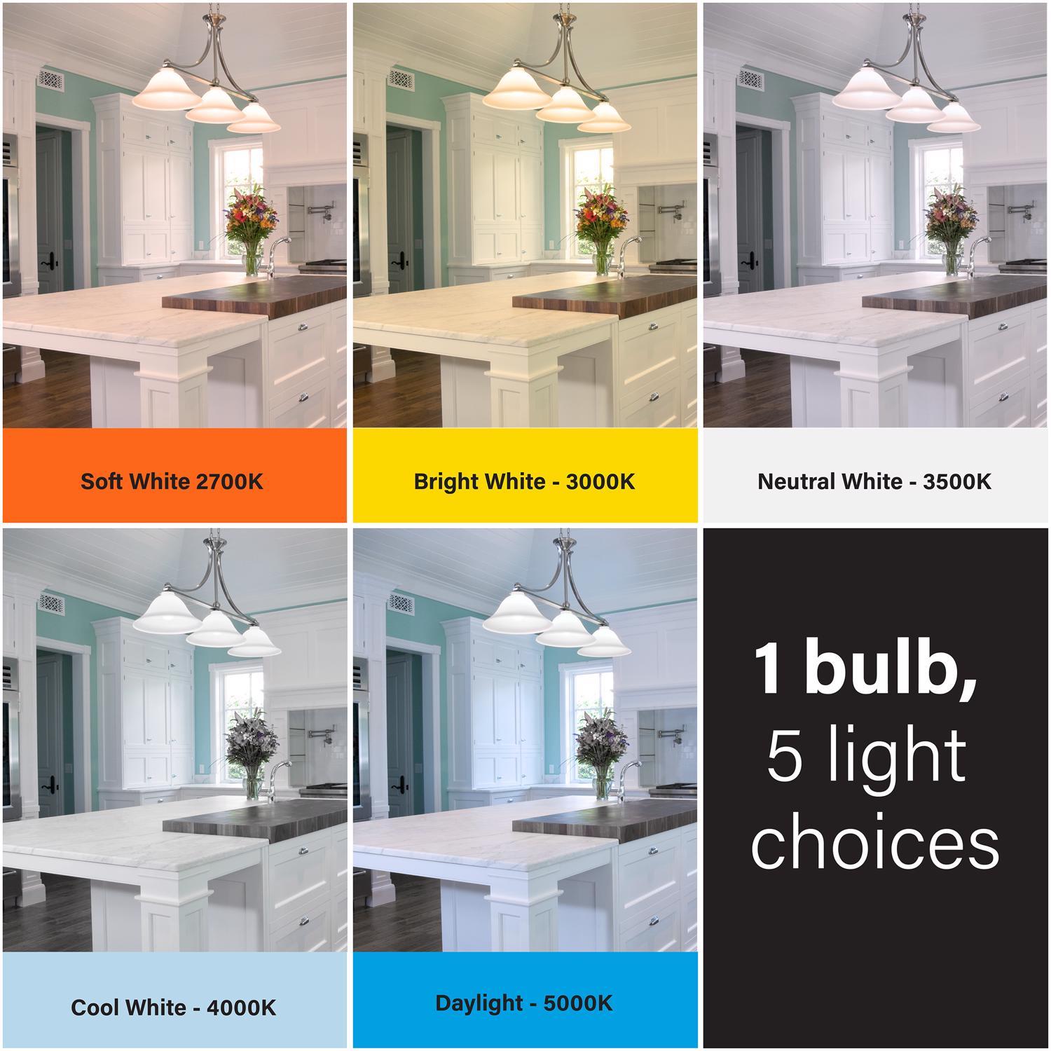 Feit A19 E26 (Medium) LED Bulb Adjustable White 60 Watt Equivalence 2 pk