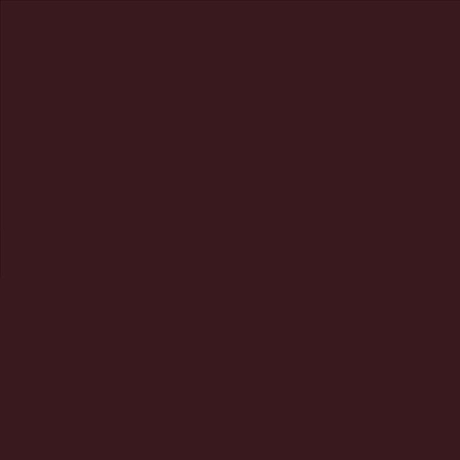 Rust-Oleum Painter's Touch 2X Ultra Cover Gloss Kona Brown Paint+Primer Spray Paint 12 oz
