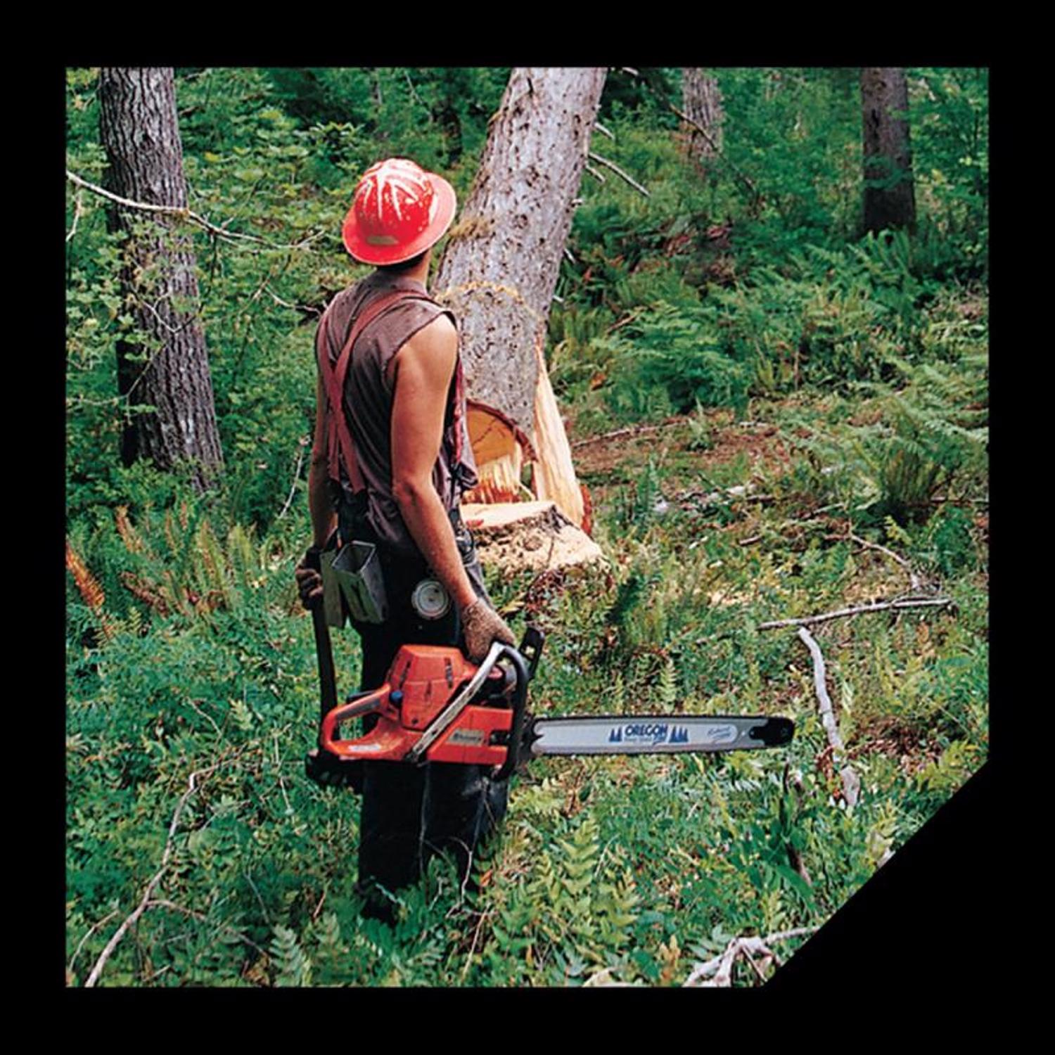 Oregon Felling Wedge