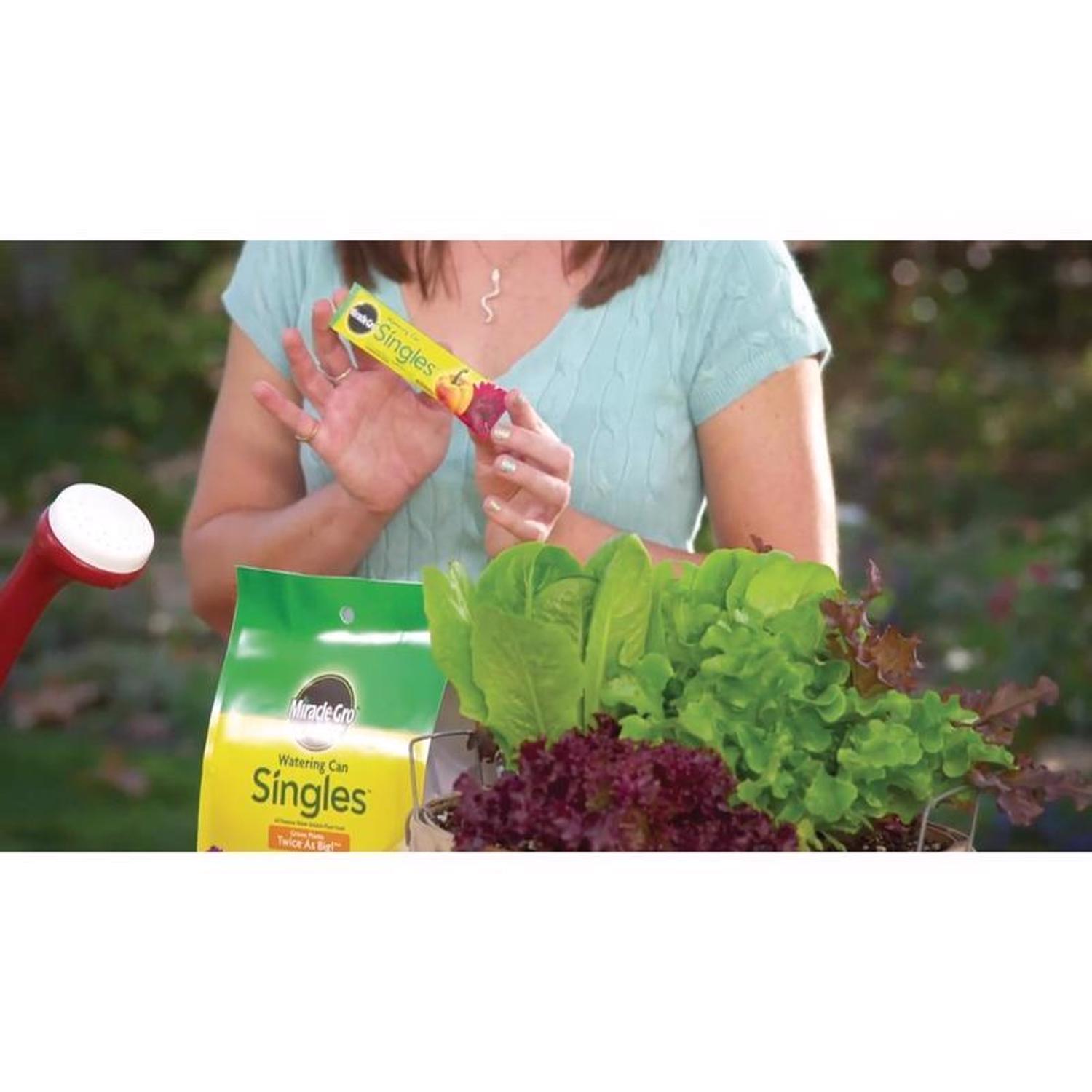 Miracle-Gro Watering Can Singles Powder Plant Food 24 pk