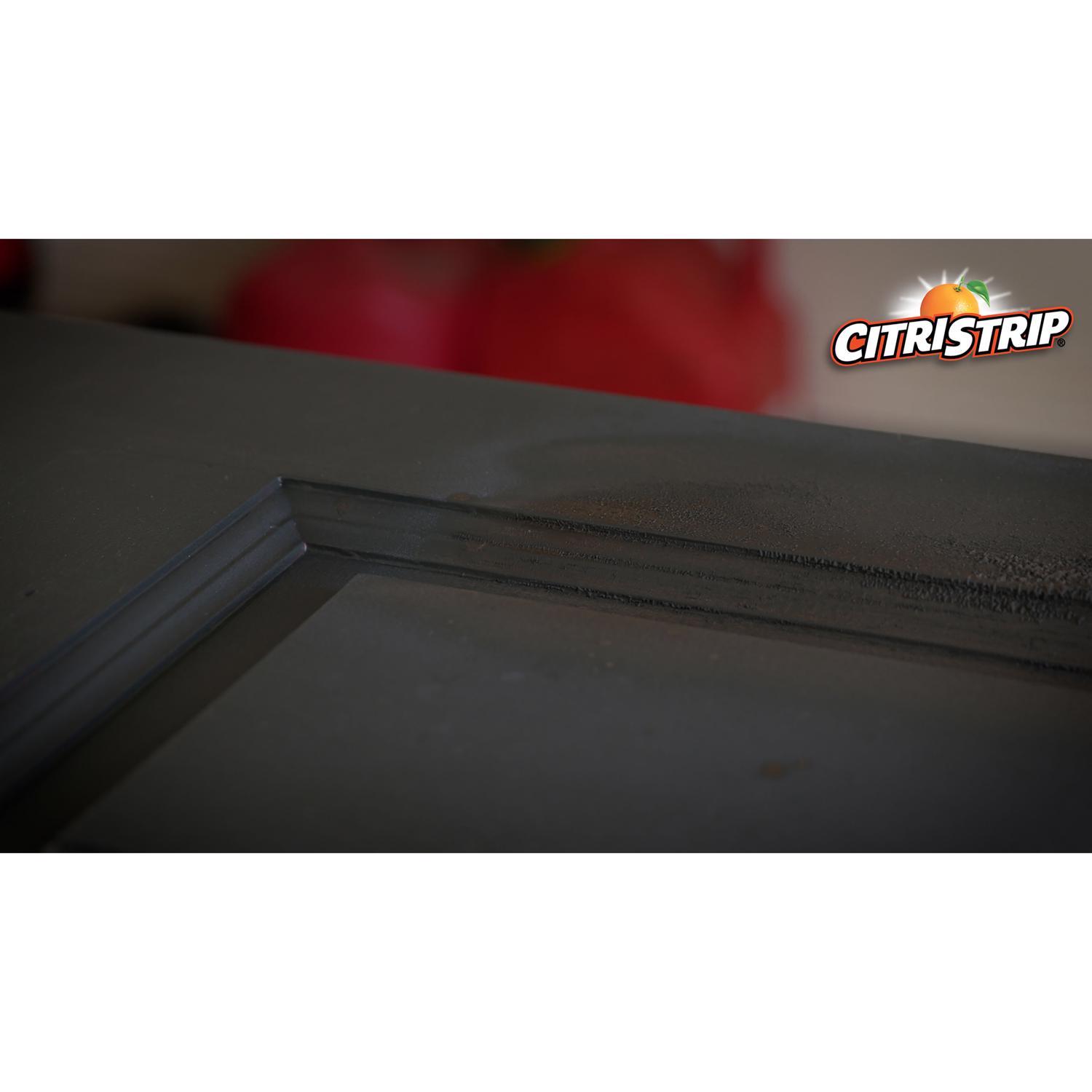 Citristrip Safer Paint and Varnish Stripper 17 oz