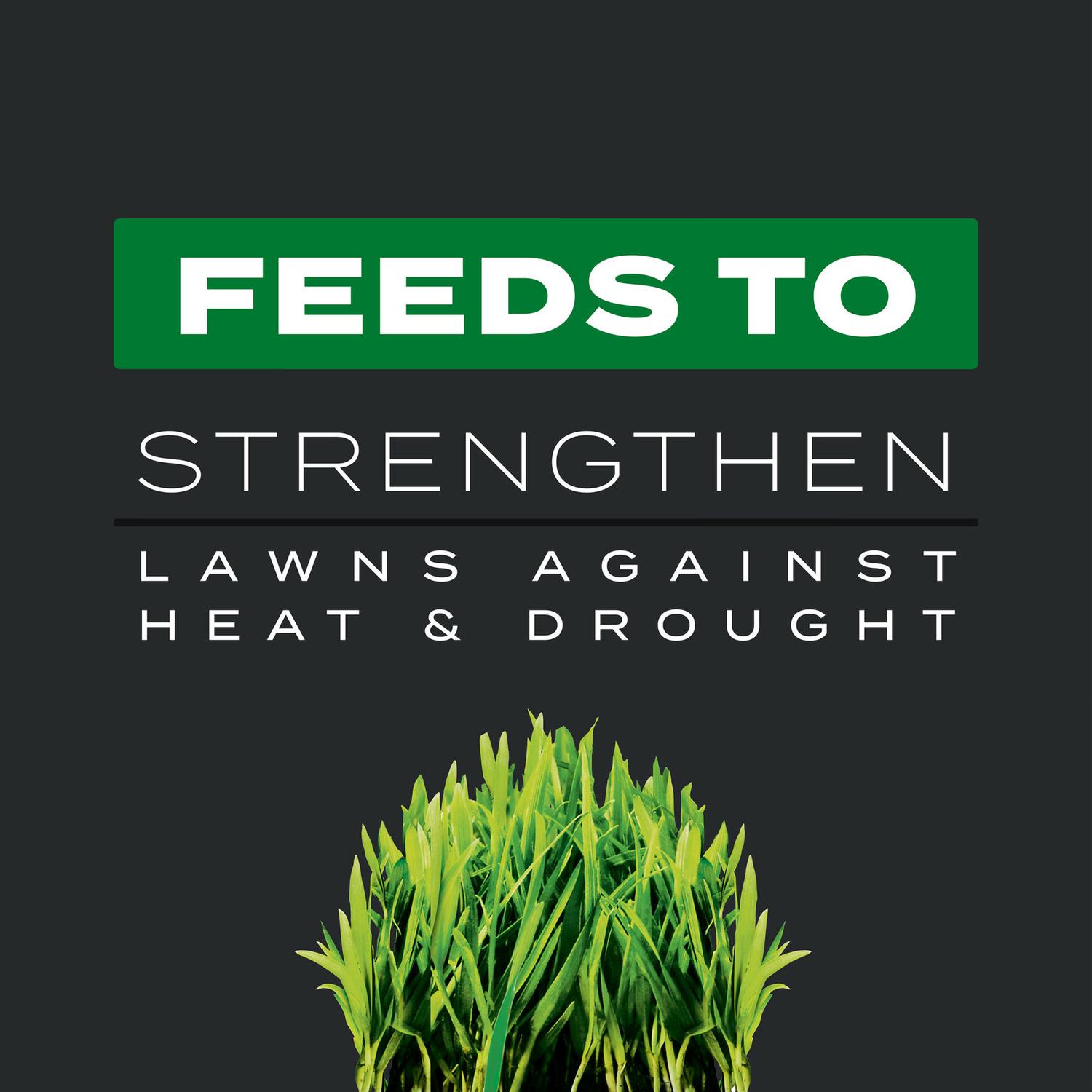 Scotts Turf Builder Southern Triple Action Weed & Feed Lawn Fertilizer For All Grasses 8000 sq ft