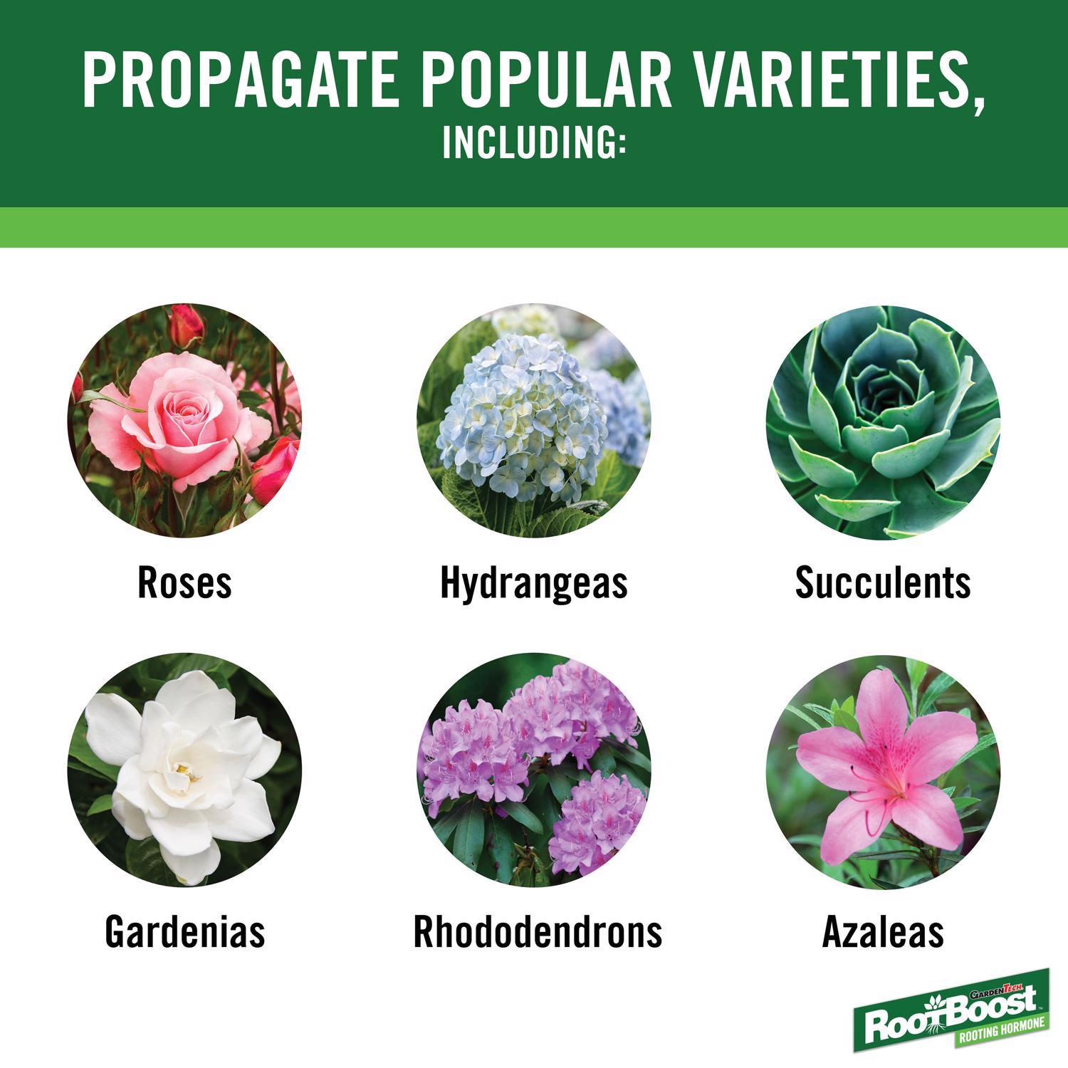 GardenTech RootBoost Powder Rooting Hormone 2 oz