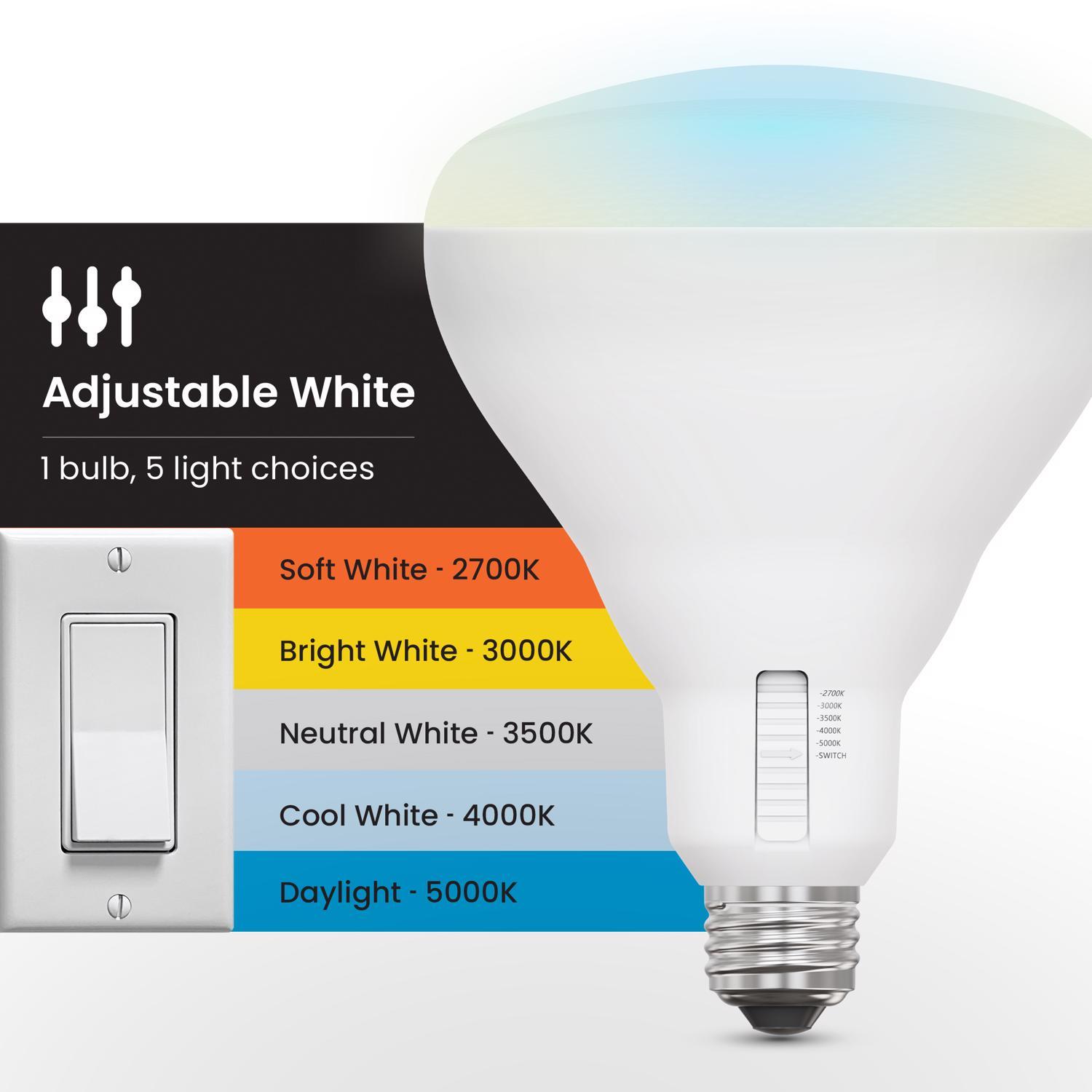Feit BR40 E26 (Medium) LED Floodlight Bulb Adjustable White 65 Watt Equivalence 2 pk