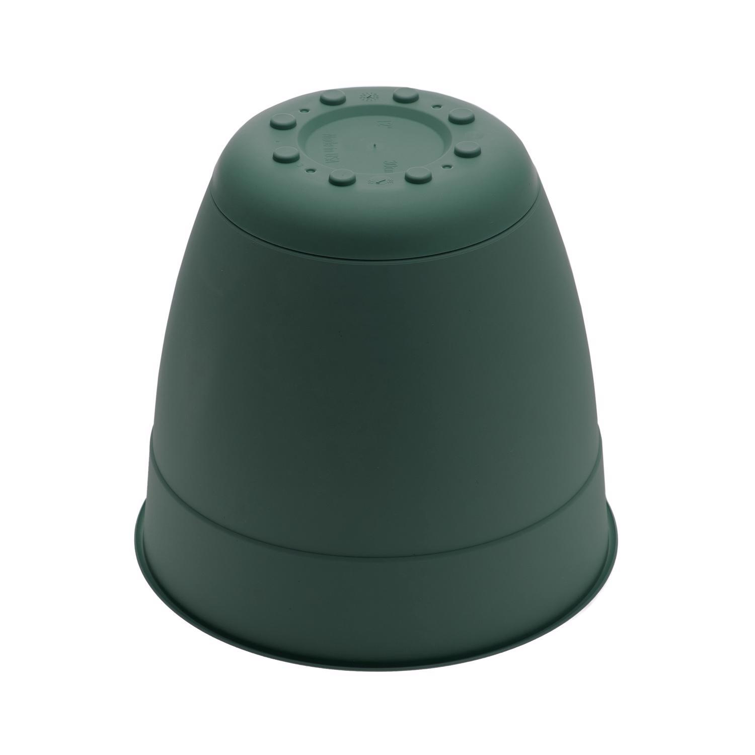 Bloem Dayton 5.75 in. H X 6 in. W X 6 in. D X 6 in. D Plastic Planter Turtle Green