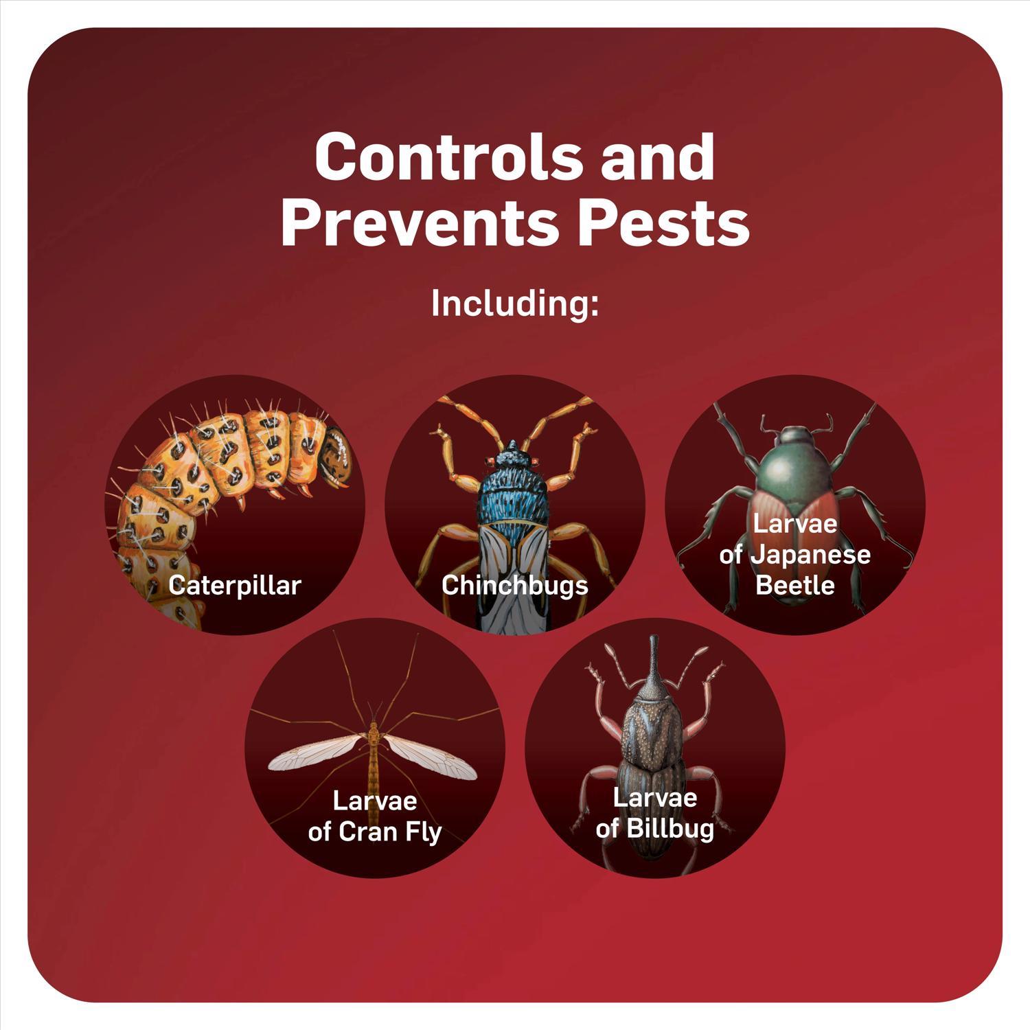 Scotts GrubEx Grub and Insect Control Granules 14.35 lb