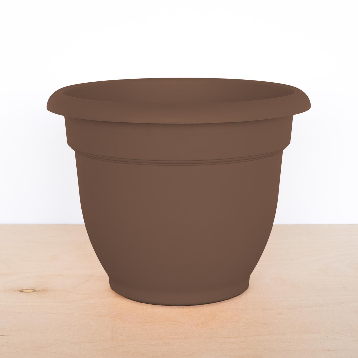 Bloem Ariana 10.25 in. H X 13 in. W Resin Traditional Planter Chocolate