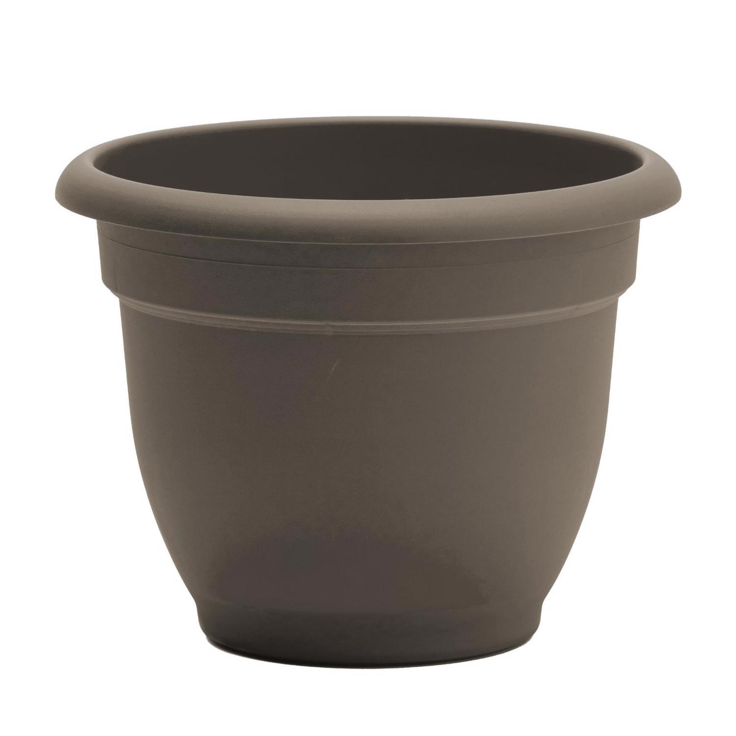 Bloem Ariana 7 in. H X 8.75 in. W X 8 in. D Plastic Traditional Planter Peppercorn