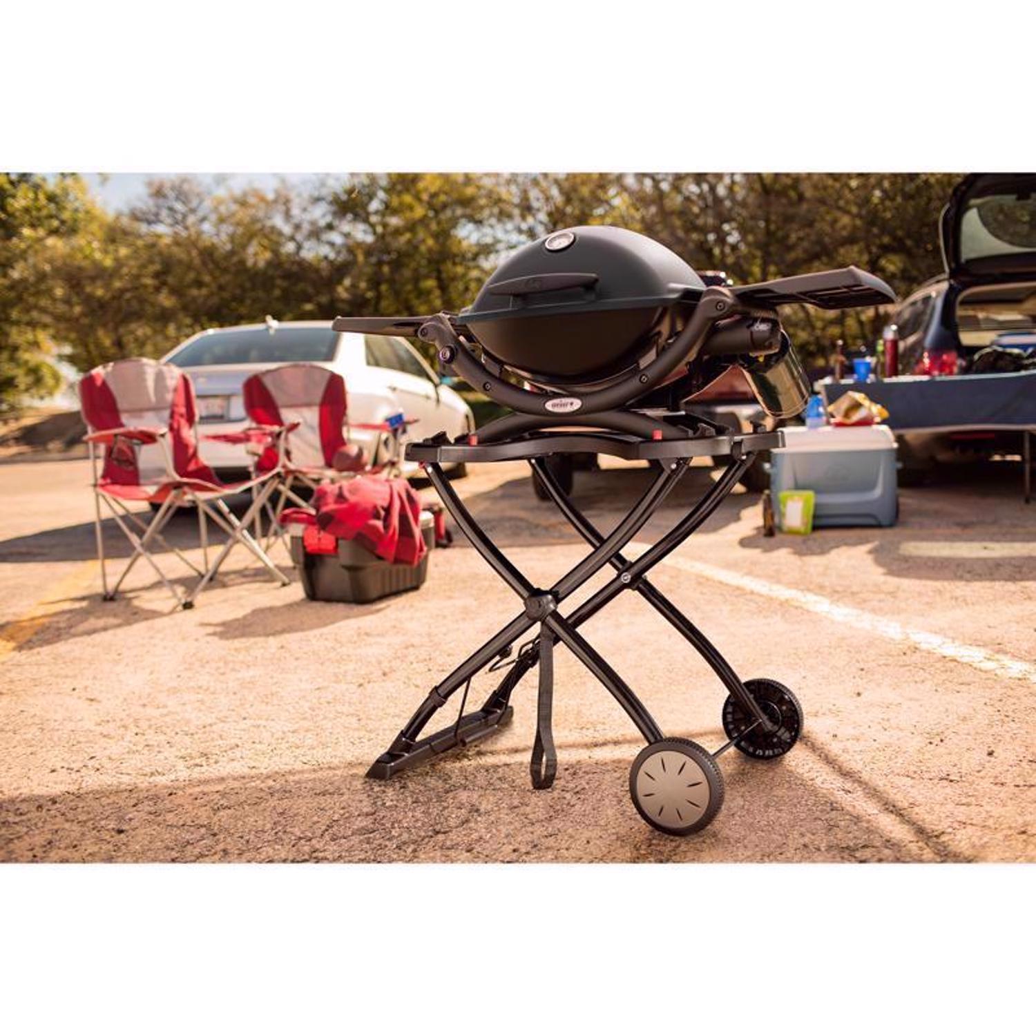 Weber Q1200 1 Burner Liquid Propane Grill Black