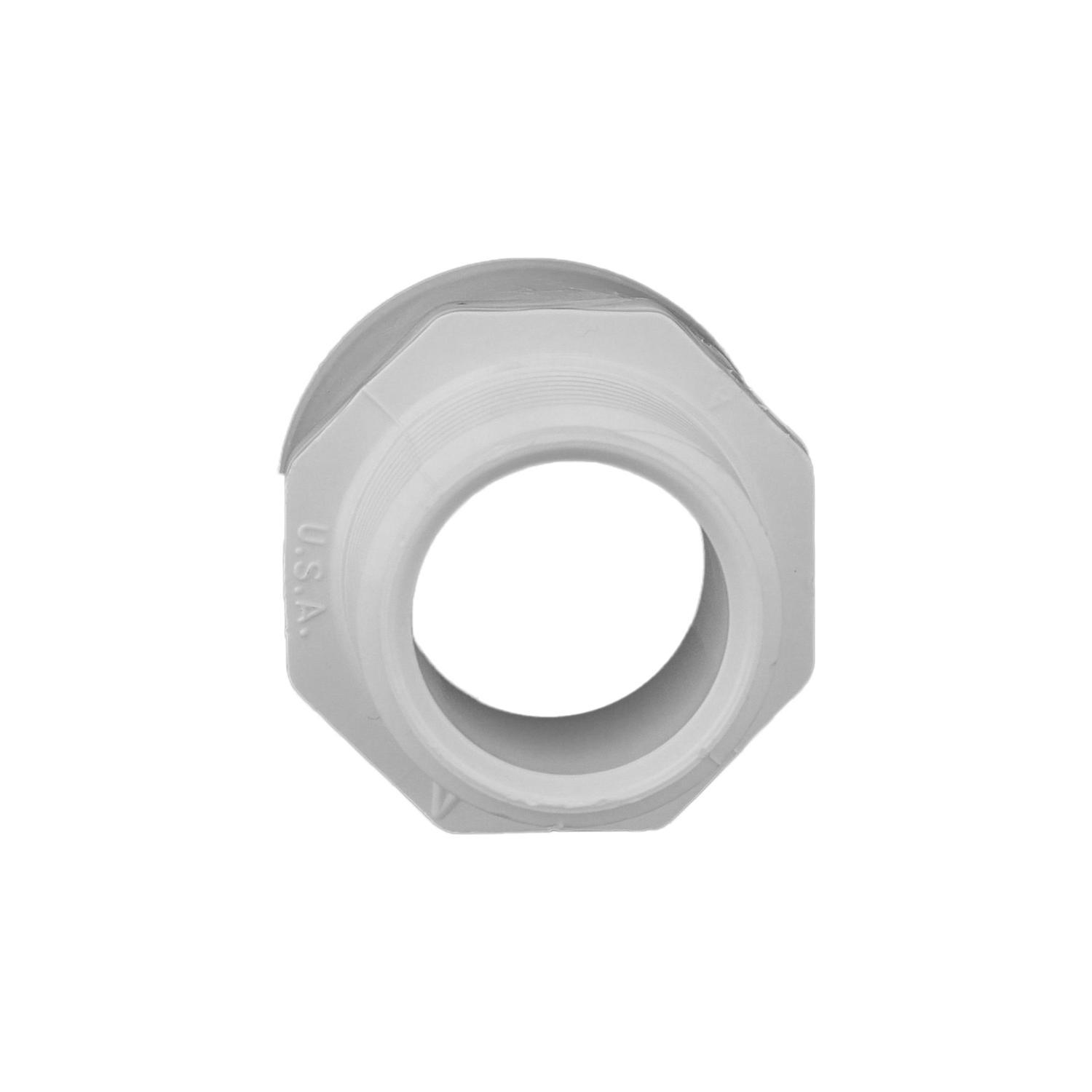 Charlotte Pipe Schedule 40 1 in. Slip X 1 in. D MPT PVC Pipe Adapter 1 pk