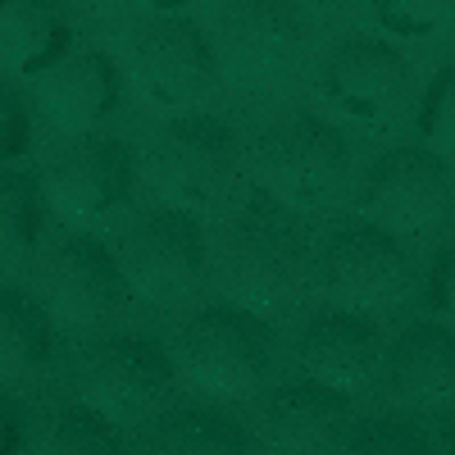 Big Green Egg 13 in. MiniMax Charcoal Kamado Grill and Smoker Green