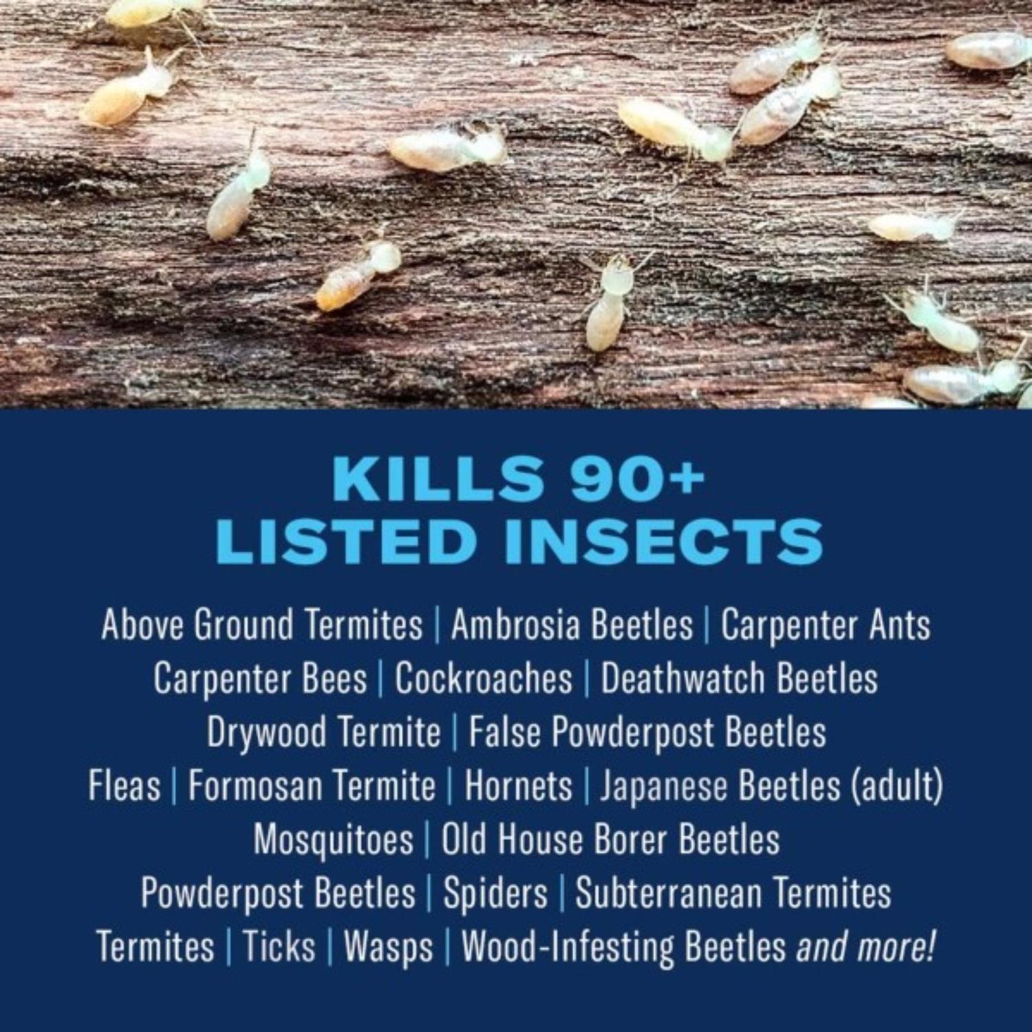 BioAdvanced Carpenter Ant & Termite Insect Killer Liquid Concentrate 40 oz
