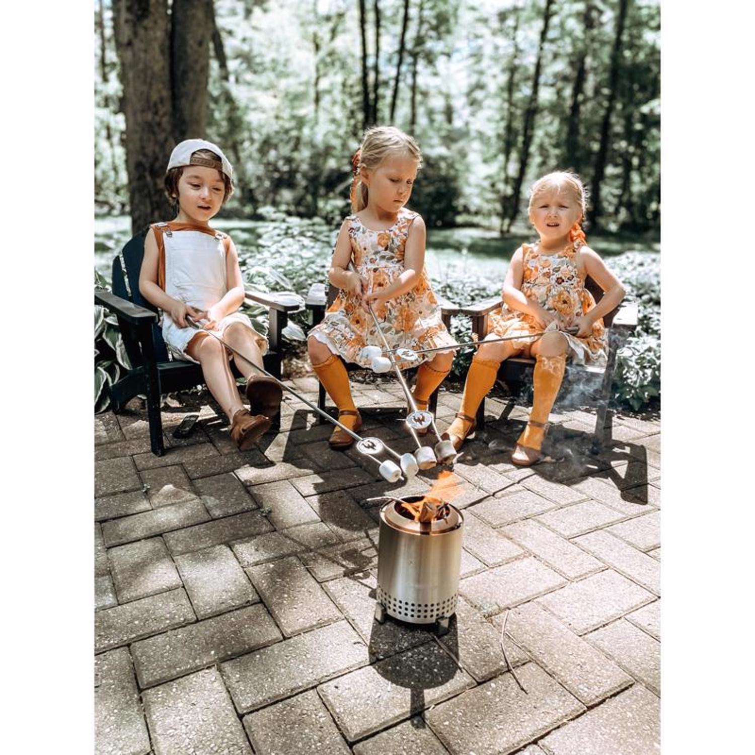 Solo Stove Mesa 5.1 in. W Stainless Steel Round Multi-Fuel Fire Pit