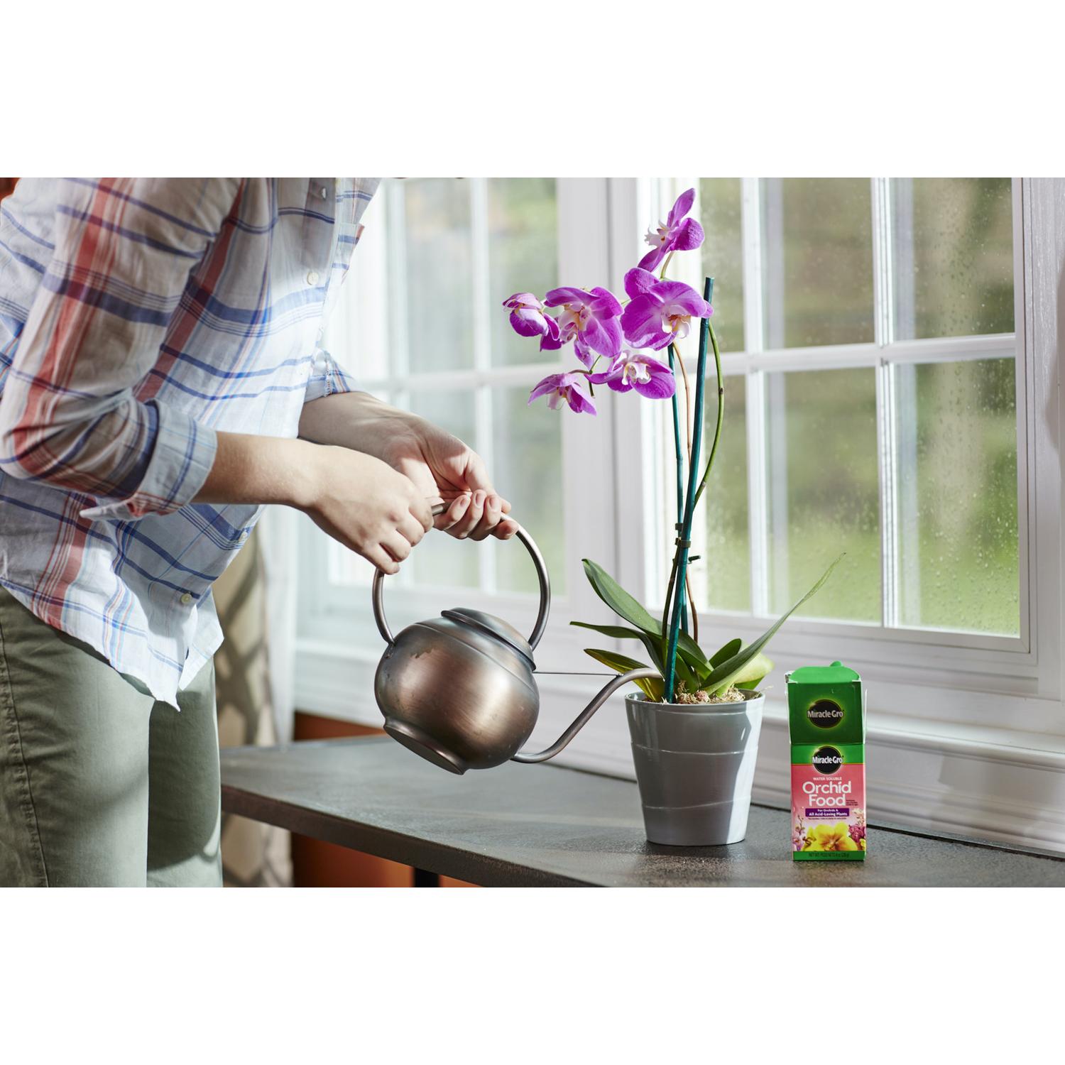 Miracle-Gro Granules Orchids Plant Food 8 oz