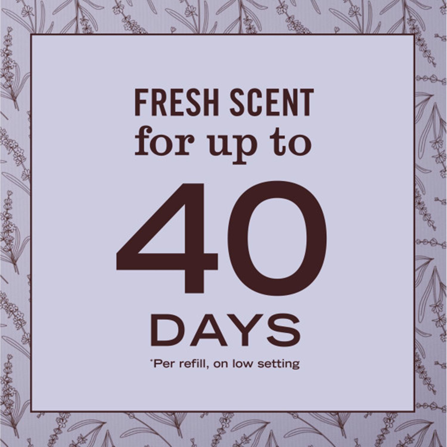 Mrs. Meyer's Clean Day Lavender Scent Air Freshener Starter Kit 0.67 oz Liquid 1 pk