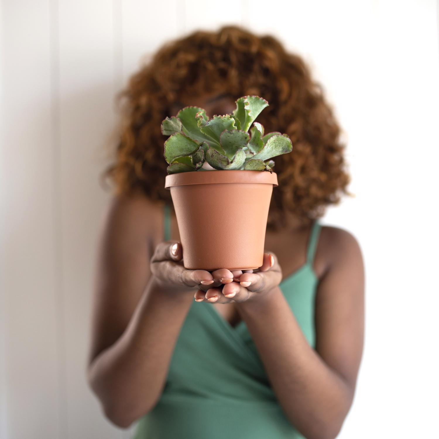 Bloem Terra 3.75 in. H X 4.25 in. W Resin Traditional Planter Terracotta Clay