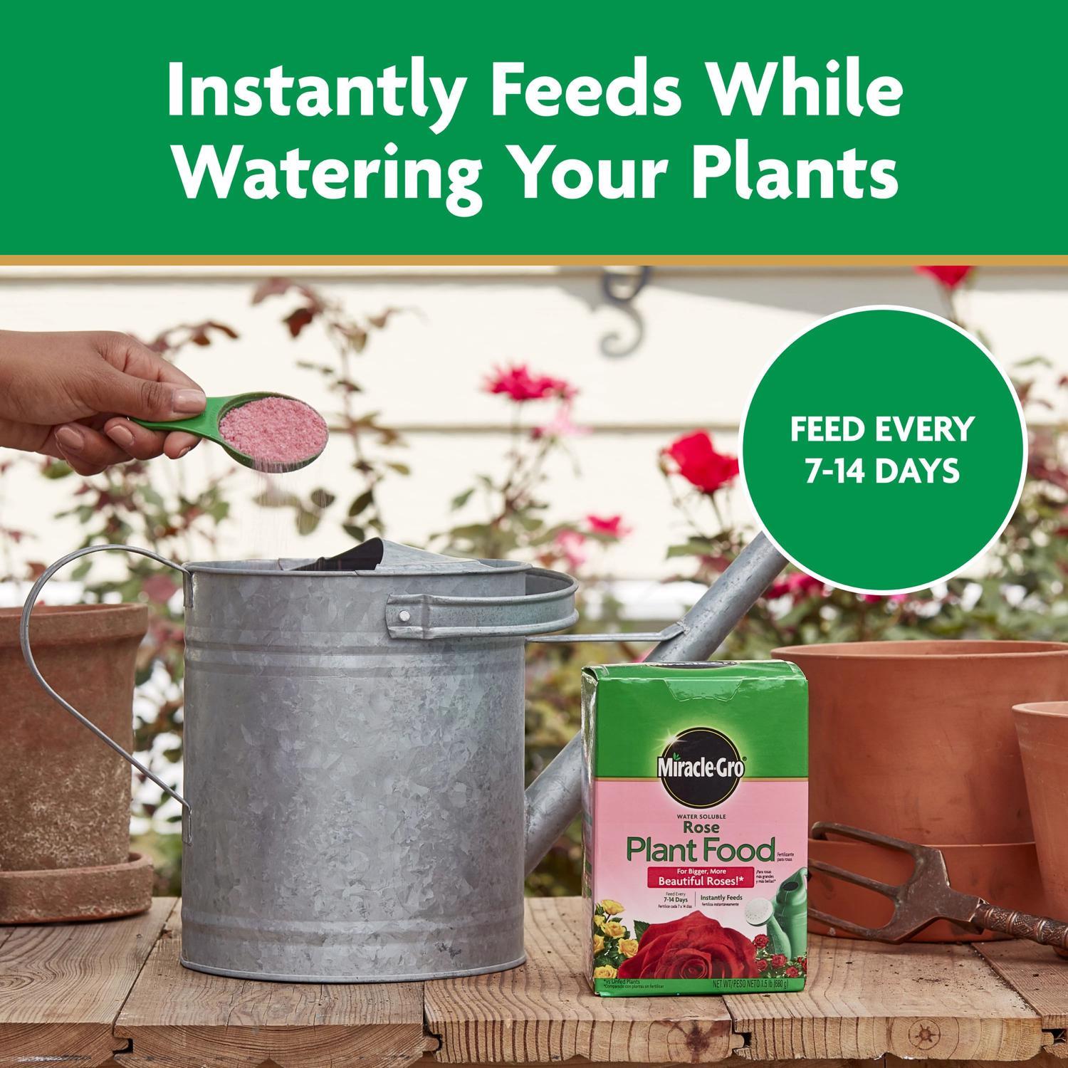 Miracle-Gro Powder Rose Plant Food 1.5 lb