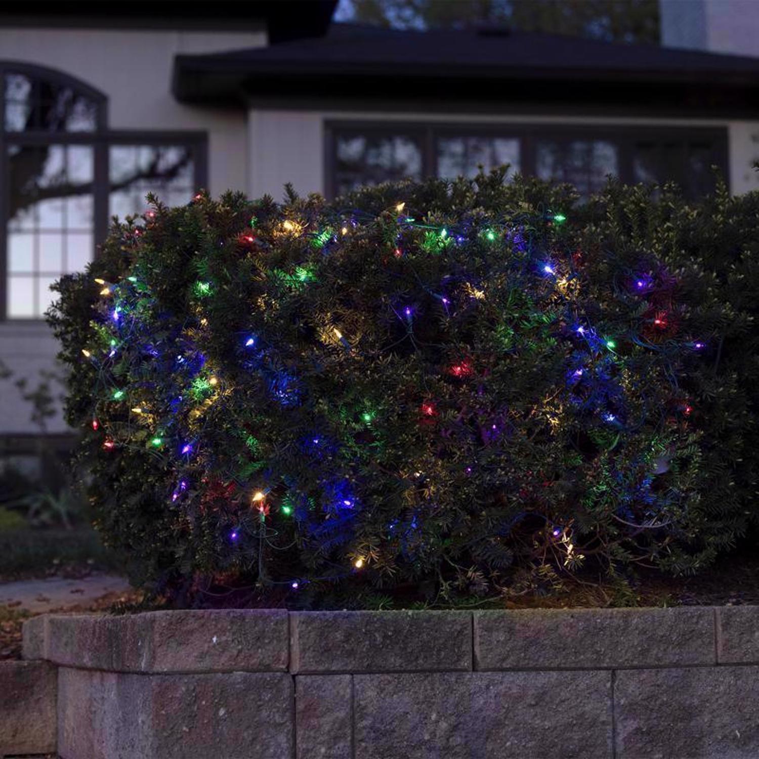 Celebrations Classic LED T5 Multicolored 100 ct Net Christmas Lights 4 ft.