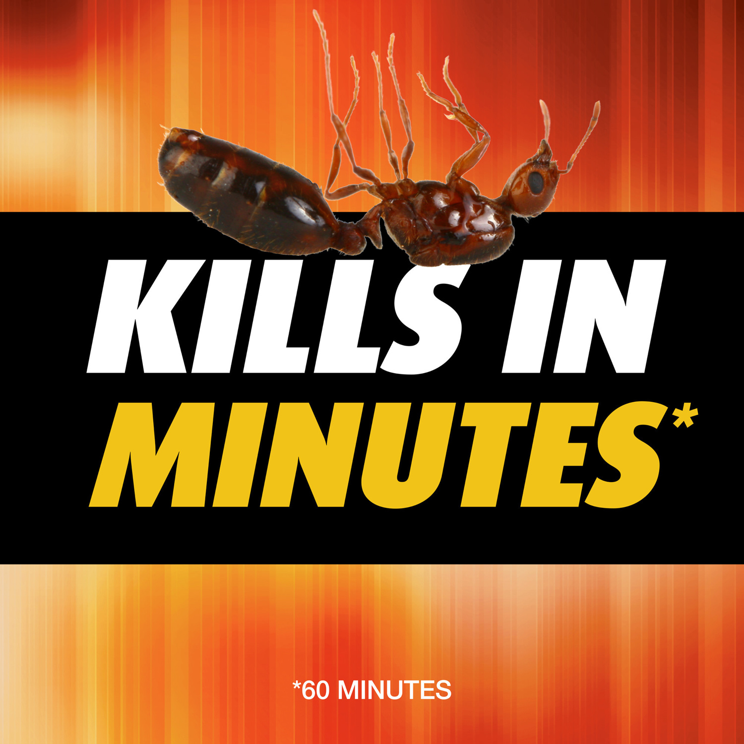 Ortho Orthene Fire Ant Killer Powder 12 oz