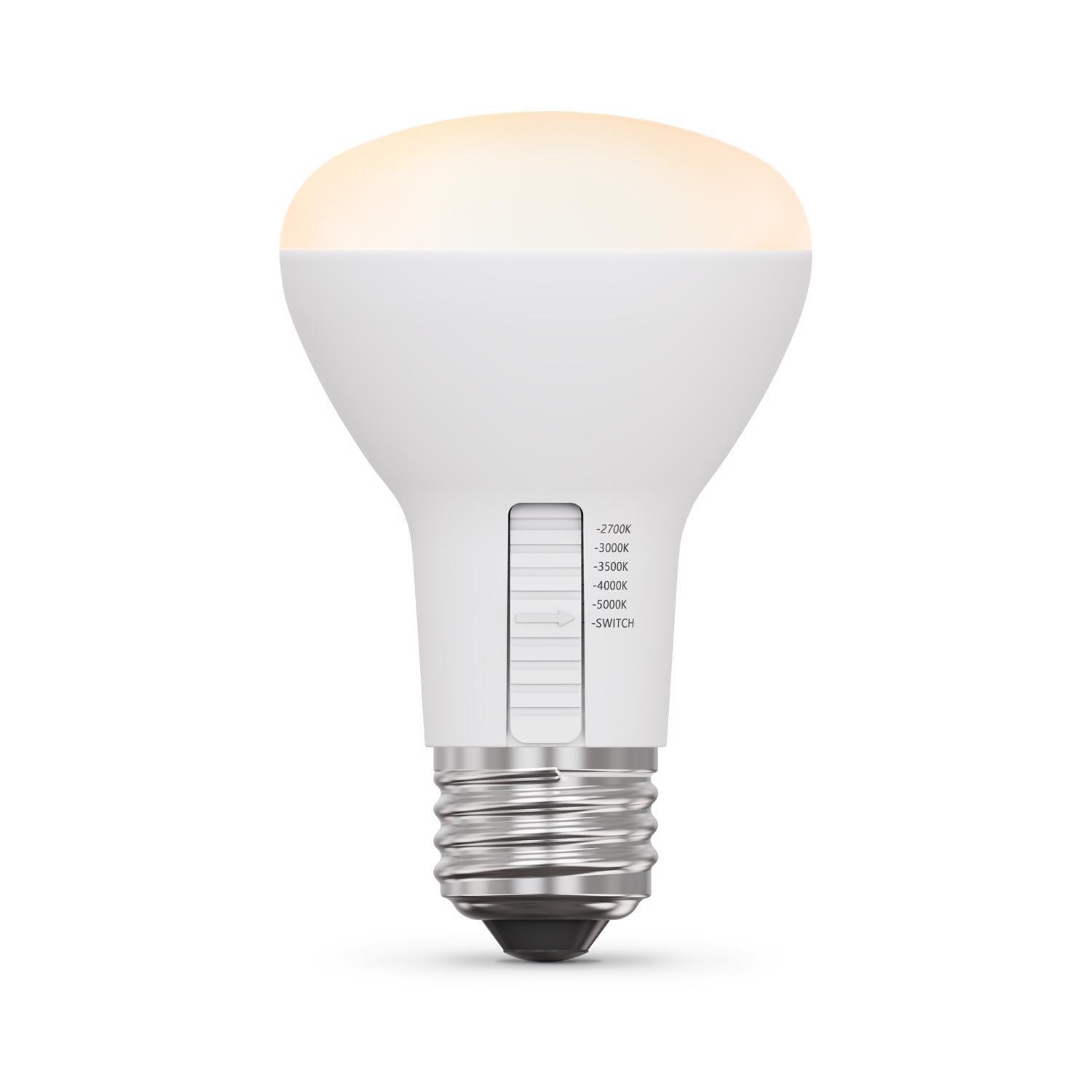 Feit R20 E26 (Medium) LED Bulb Adjustable White 45 Watt Equivalence 2 pk