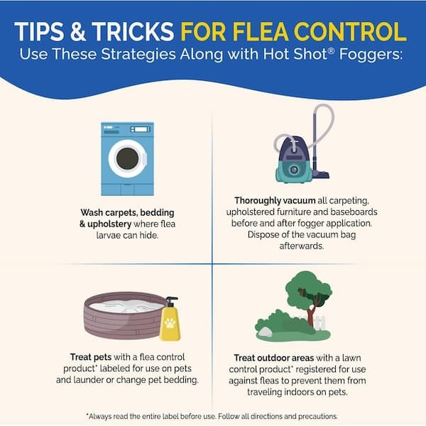 Hot Shot No-Mess Insect Fogger Aerosol with Odor Neutralizer 3-Count