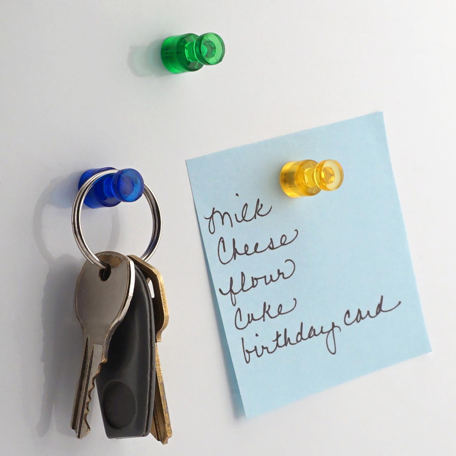 Magnet Source .625 in. L X .375 in. W Assorted Magnetic Push Pins 10 pc