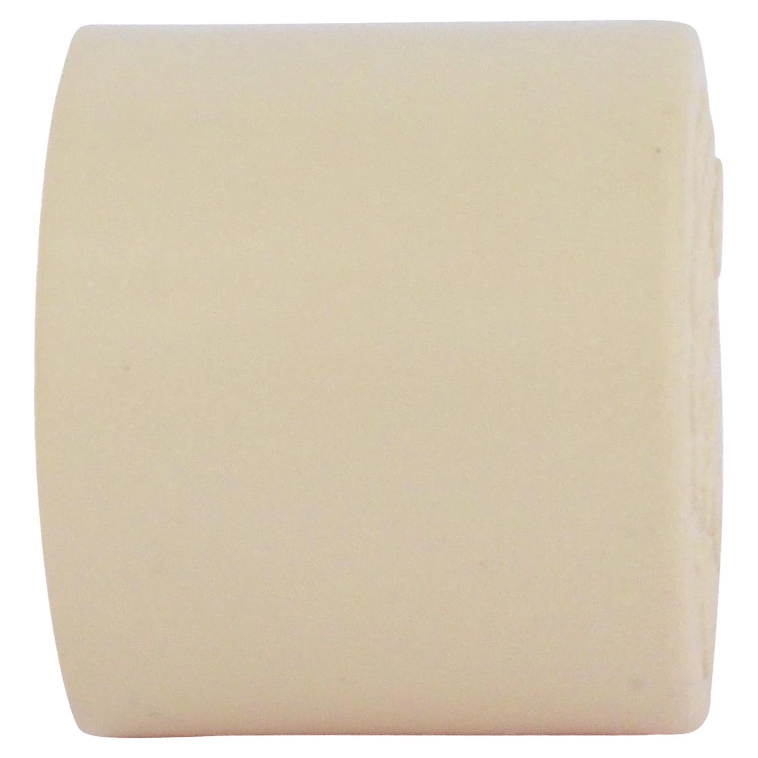 Charlotte Pipe FlowGuard 1/2 in. Hub CPVC Cap 1 pk