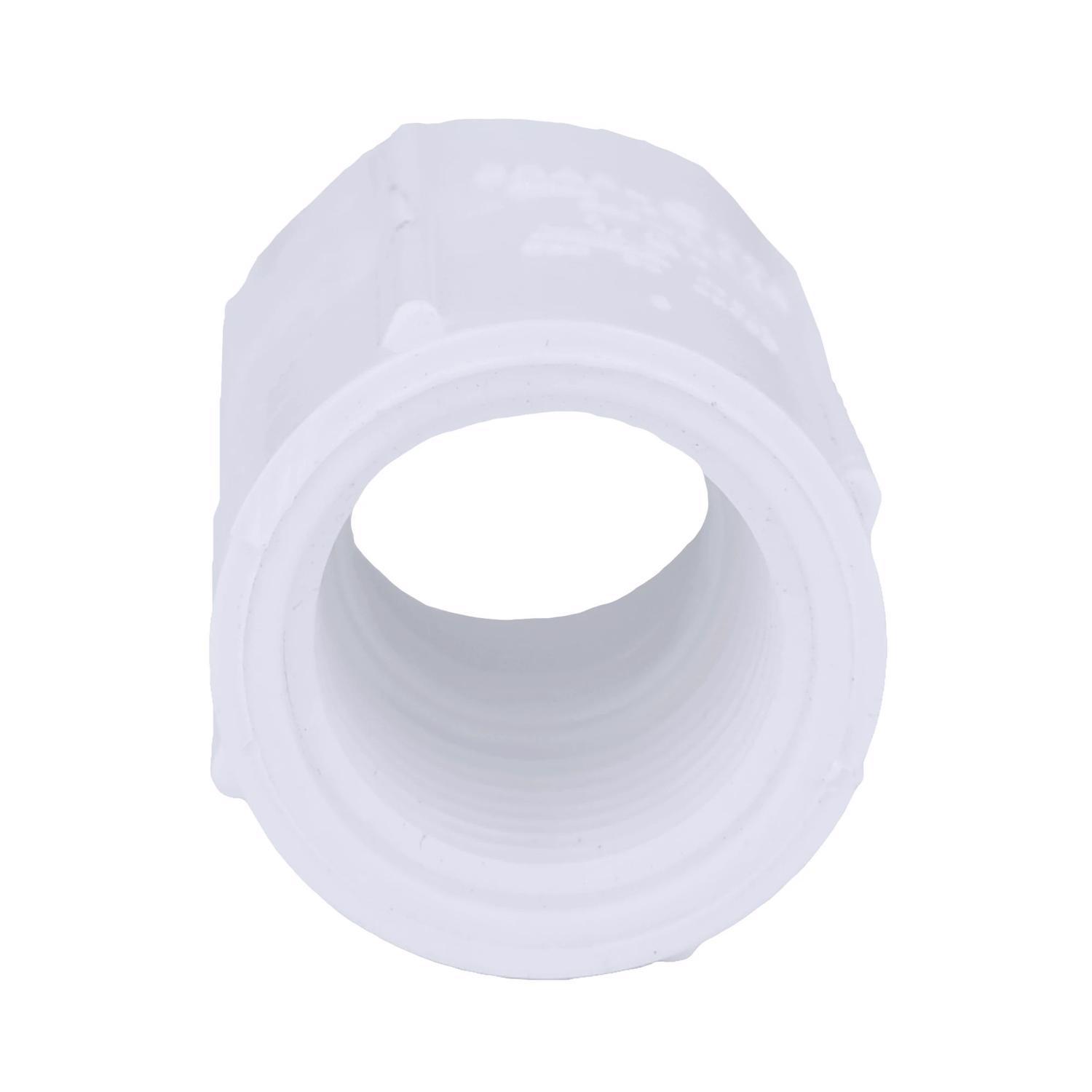 Charlotte Pipe Schedule 40 1/2 in. FPT X 1/2 in. D FPT PVC Coupling 1 pk