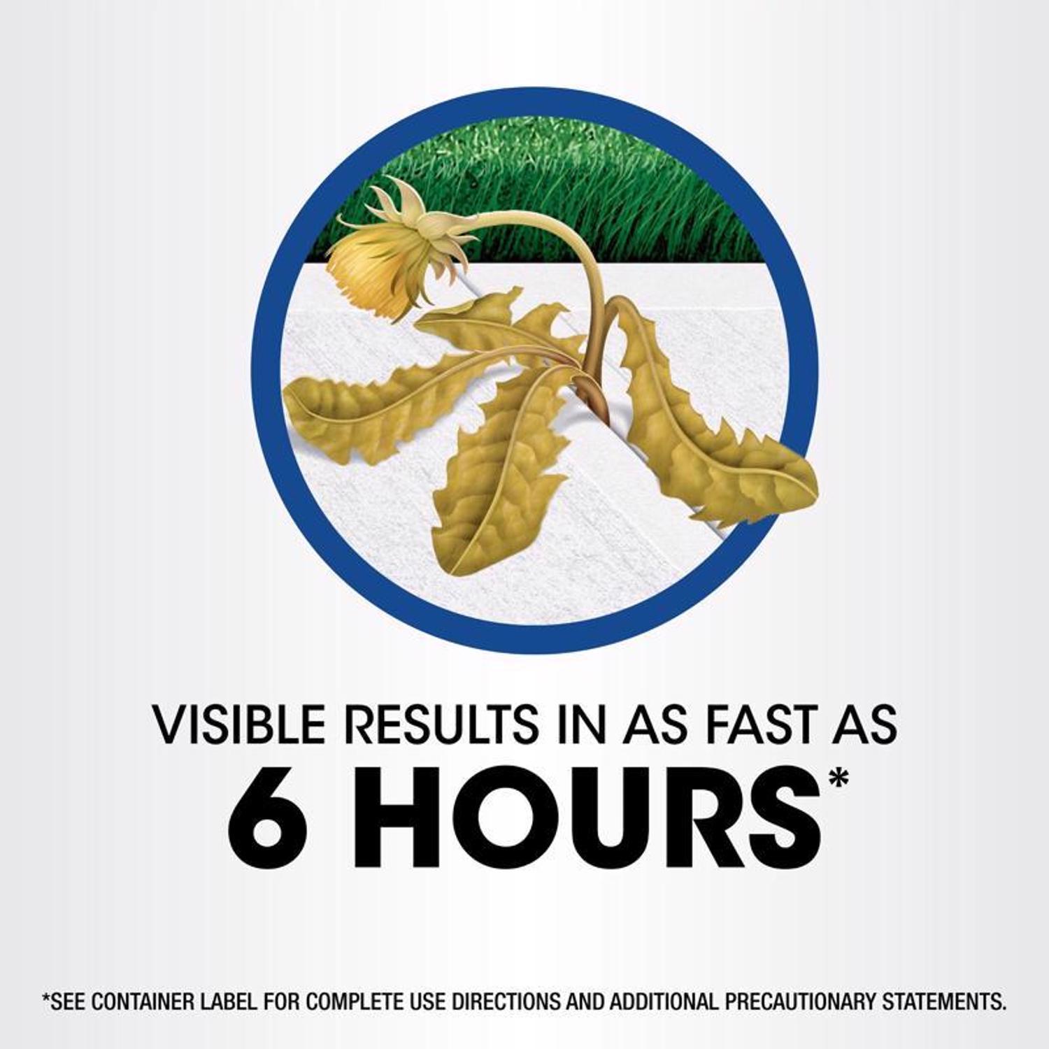 Roundup Weed and Grass Killer Concentrate 0.5 gal