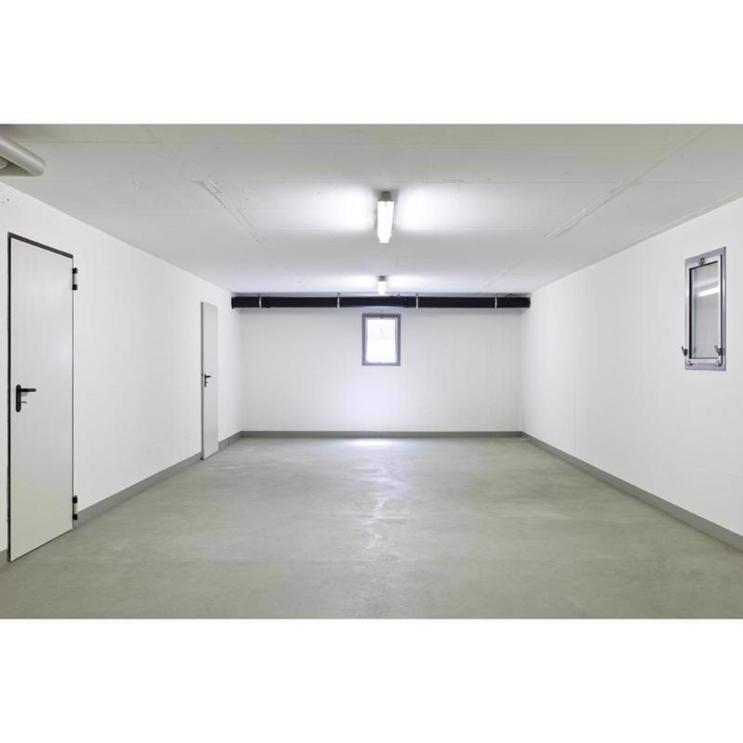 Feit Linear T8 Cool White 48 in. G13 Linear LED Bulb 32 Watt Equivalence 2 pk