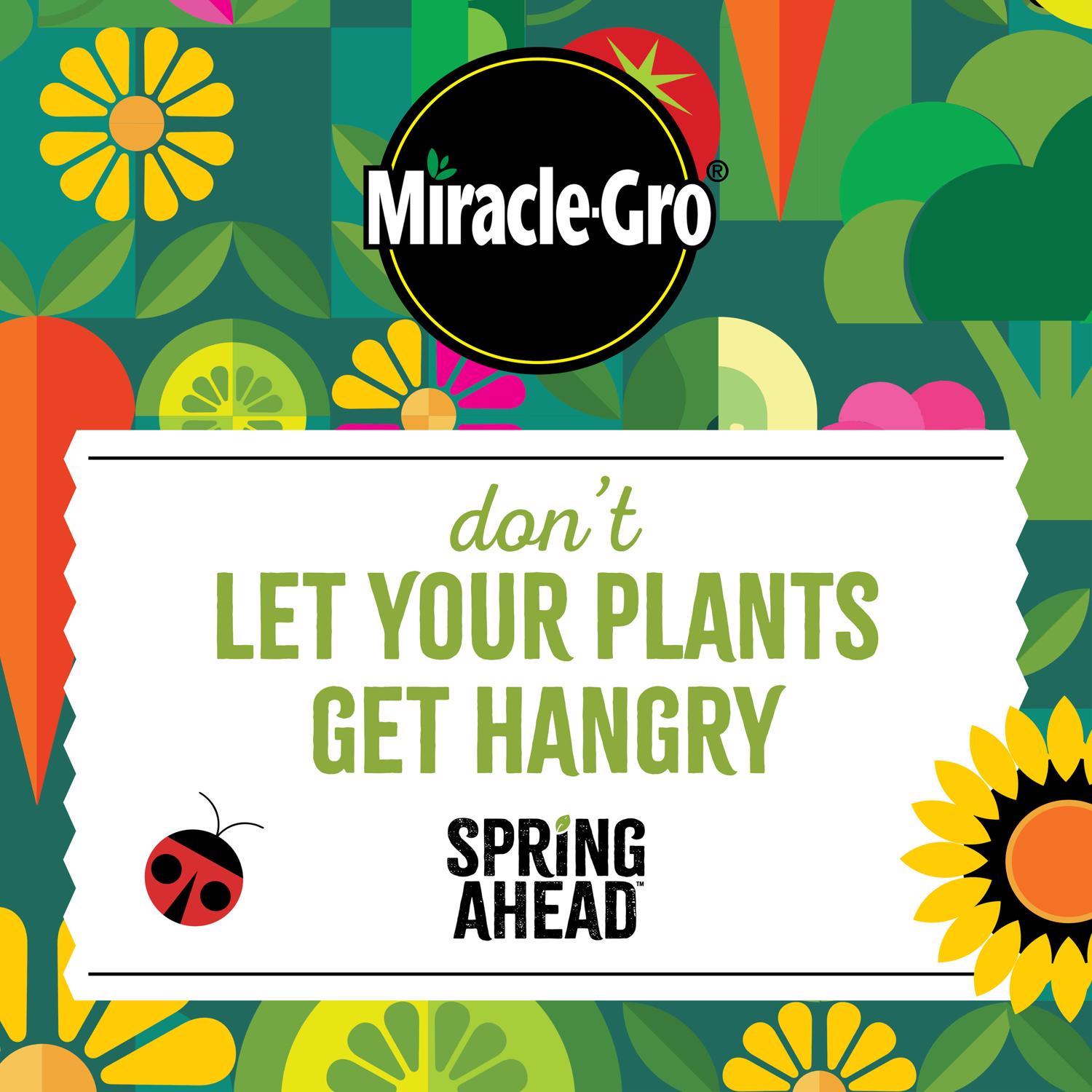 Miracle-Gro Spring Ahead Granules Plant Food 3 lb