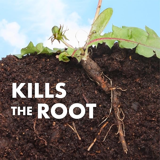Spectracide One Shot Weed and Grass Killer, 32 oz., Ready-to-Use Spray kills weeds and grass with same-day results and prevents regrowth for up to five months