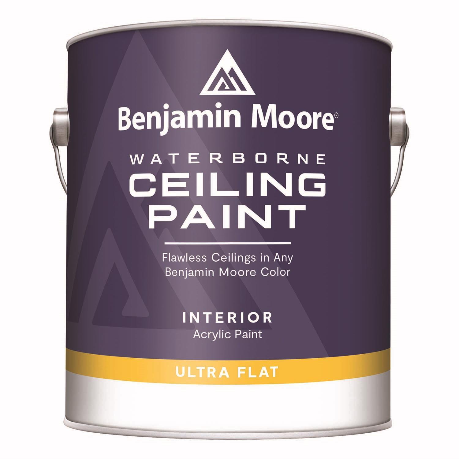 Benjamin Moore Flat Ceiling Paint Interior 1 gal